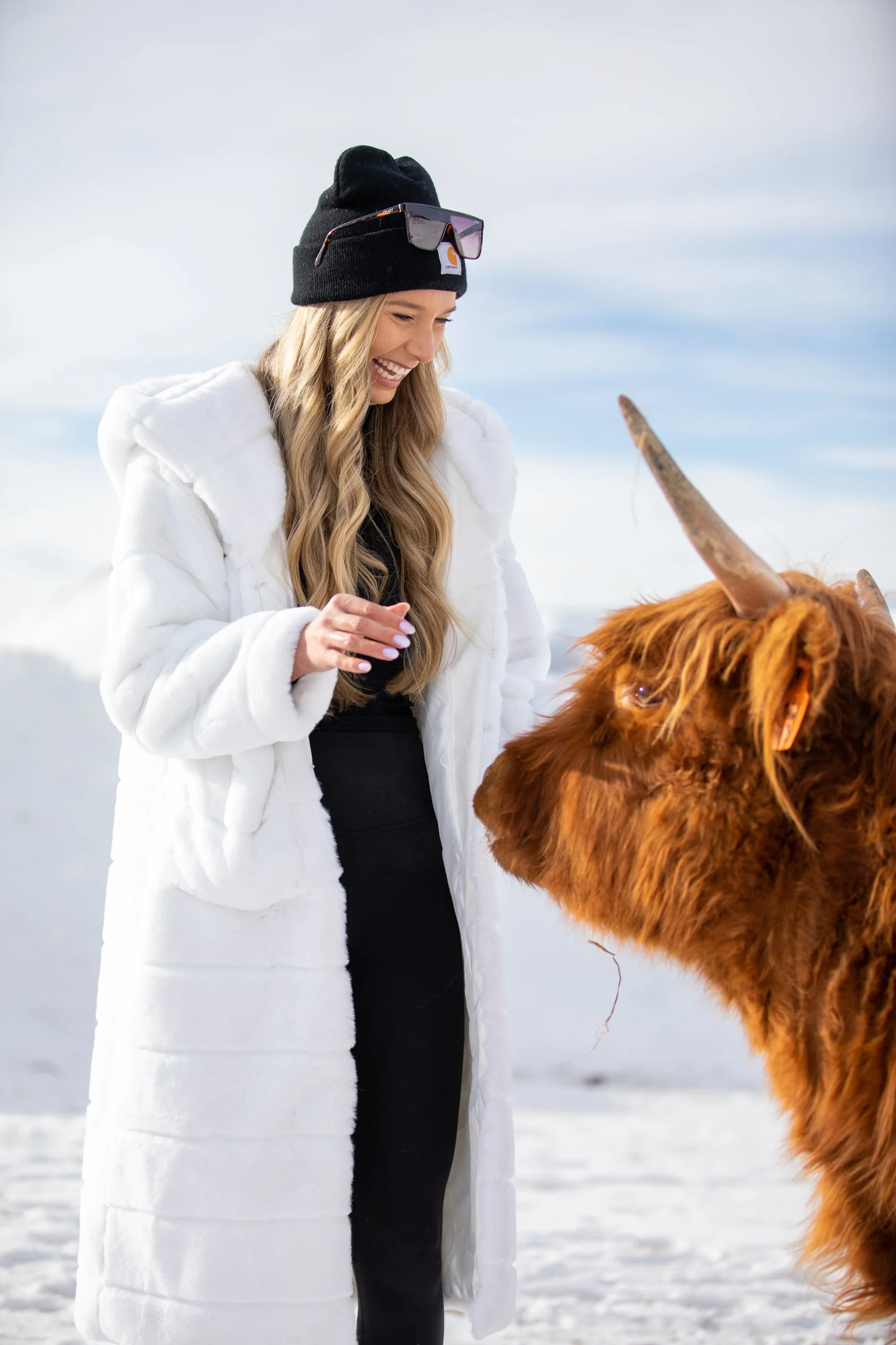 Woman in a white coat and beanie beside a Highland cow's head in snow at Tundra Springs, Colorado mountain wedding venue