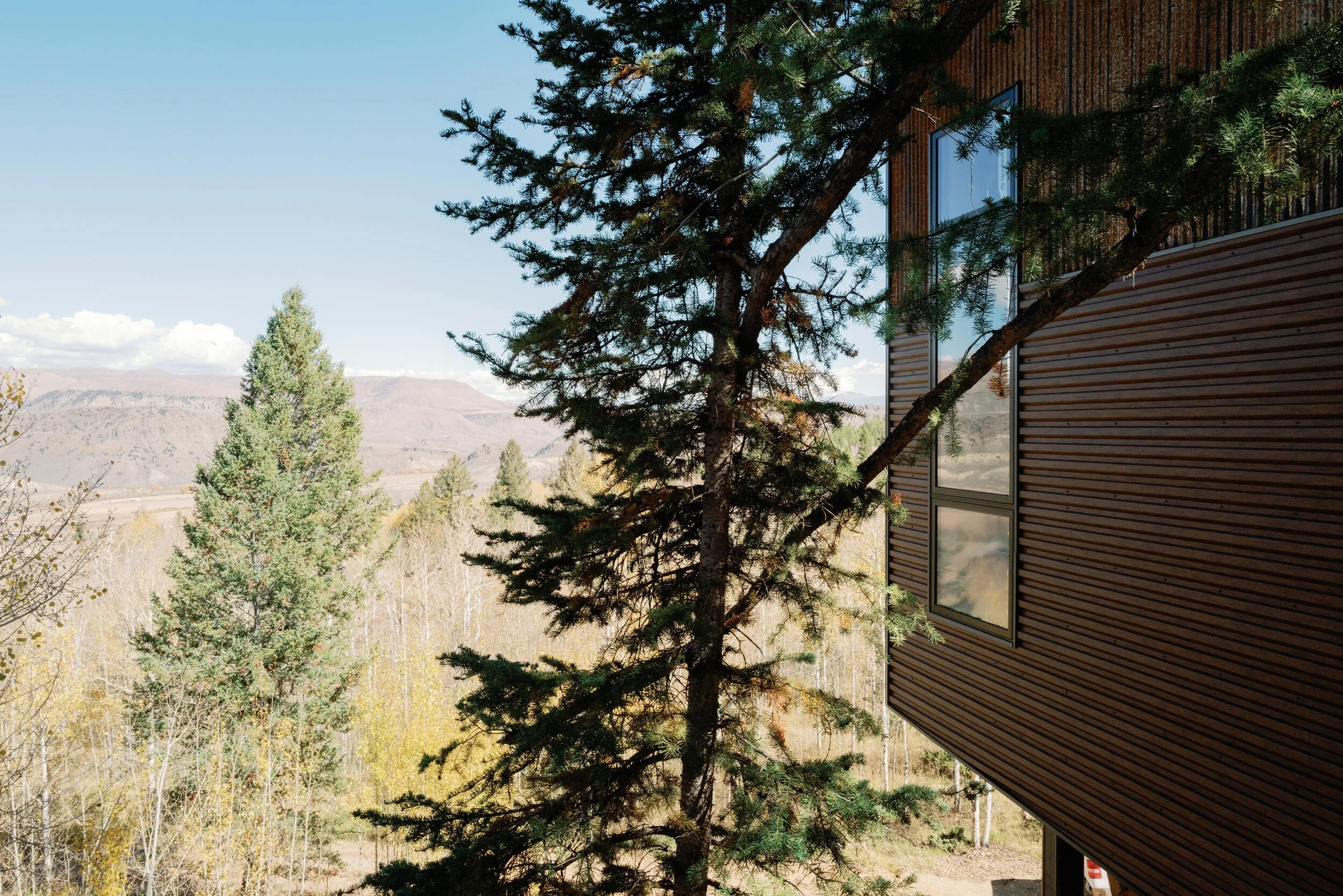 Dark siding of a mountain retreat framed by a pine tree and valley views at Tundra Springs, Colorado mountain wedding venue