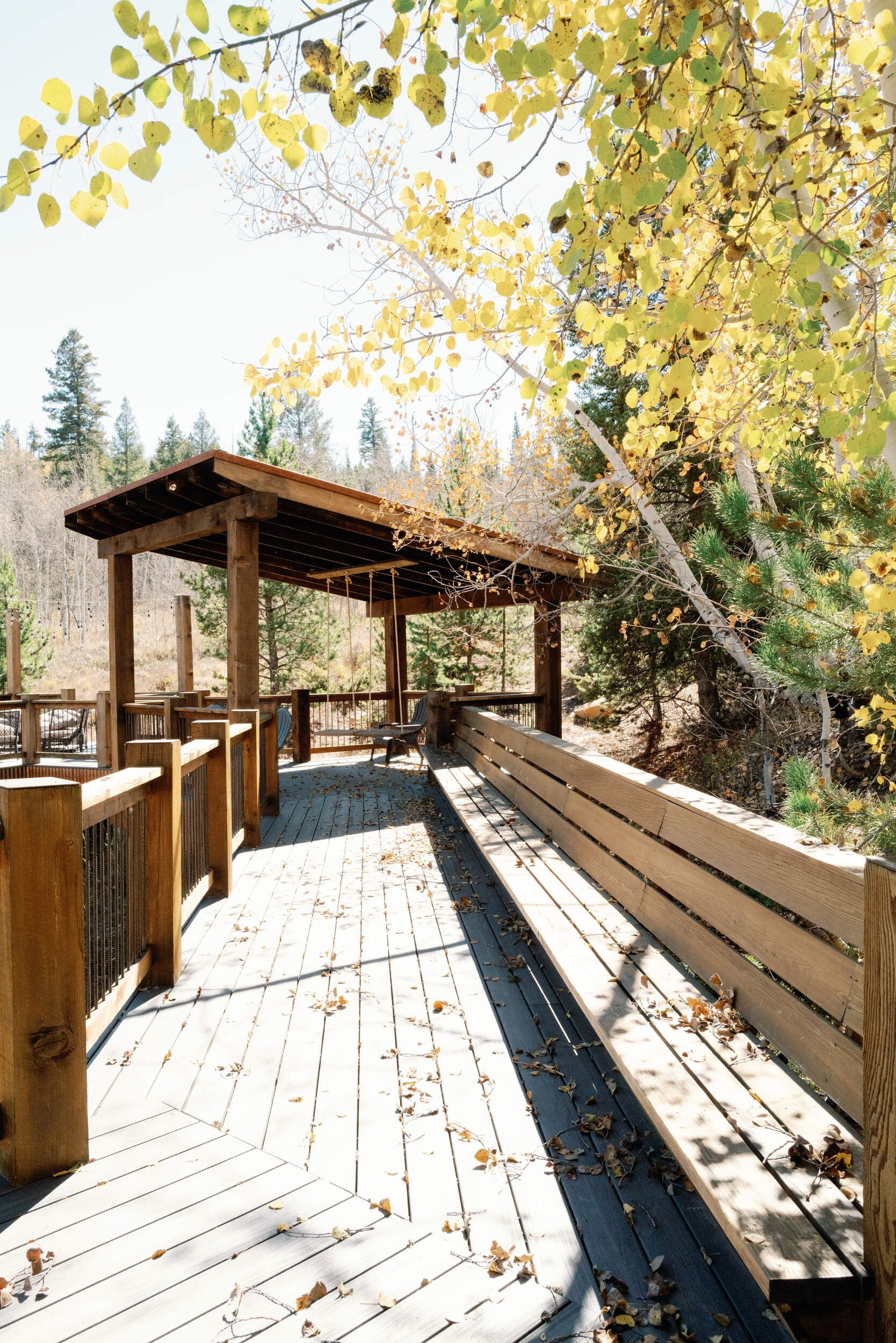 Covered wooden boardwalk with a timber roof and railings through aspen trees in Hot Sulphur Springs, Colorado