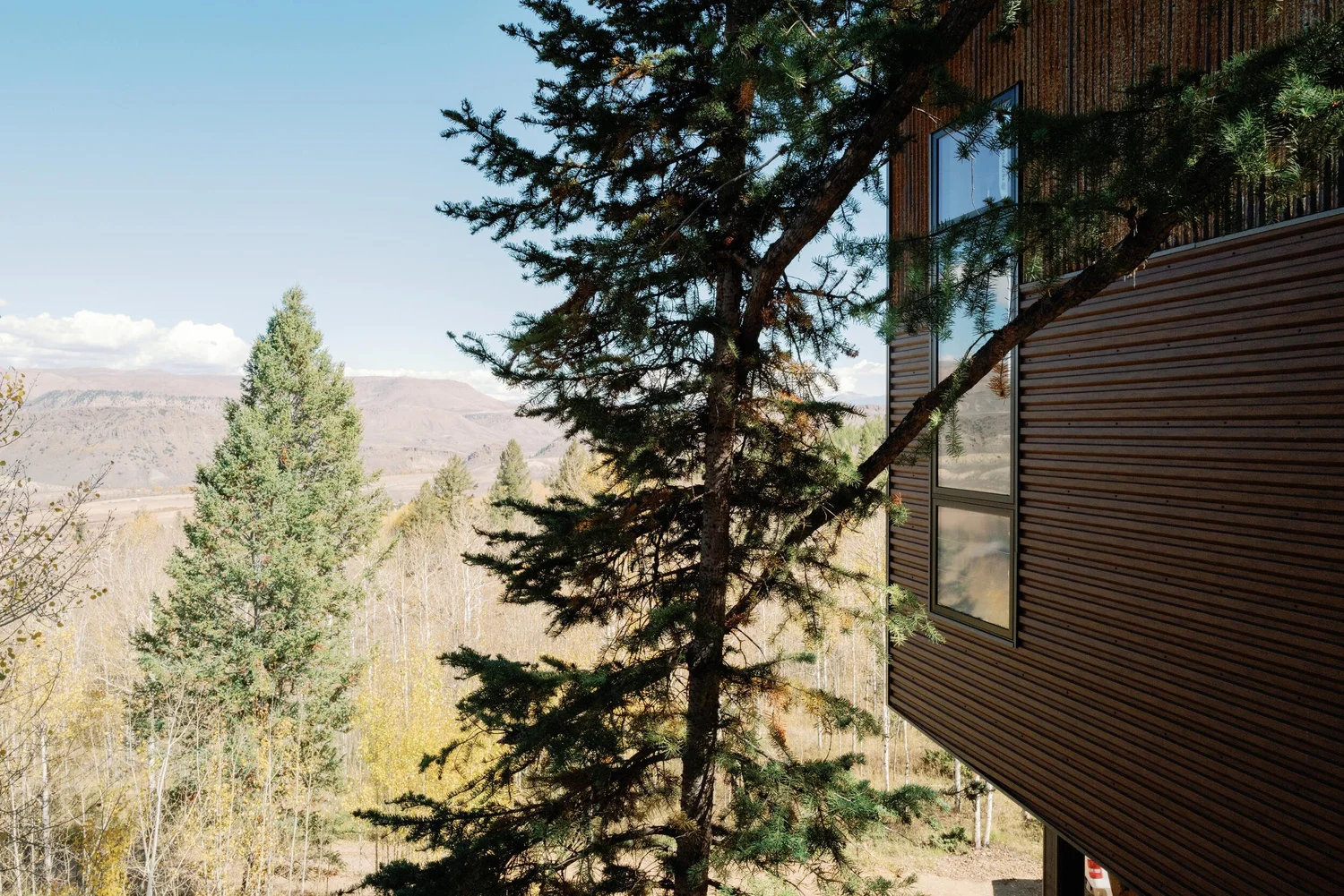 Dark siding of a mountain retreat framed by a pine tree and valley views at Tundra Springs, Colorado mountain wedding venue