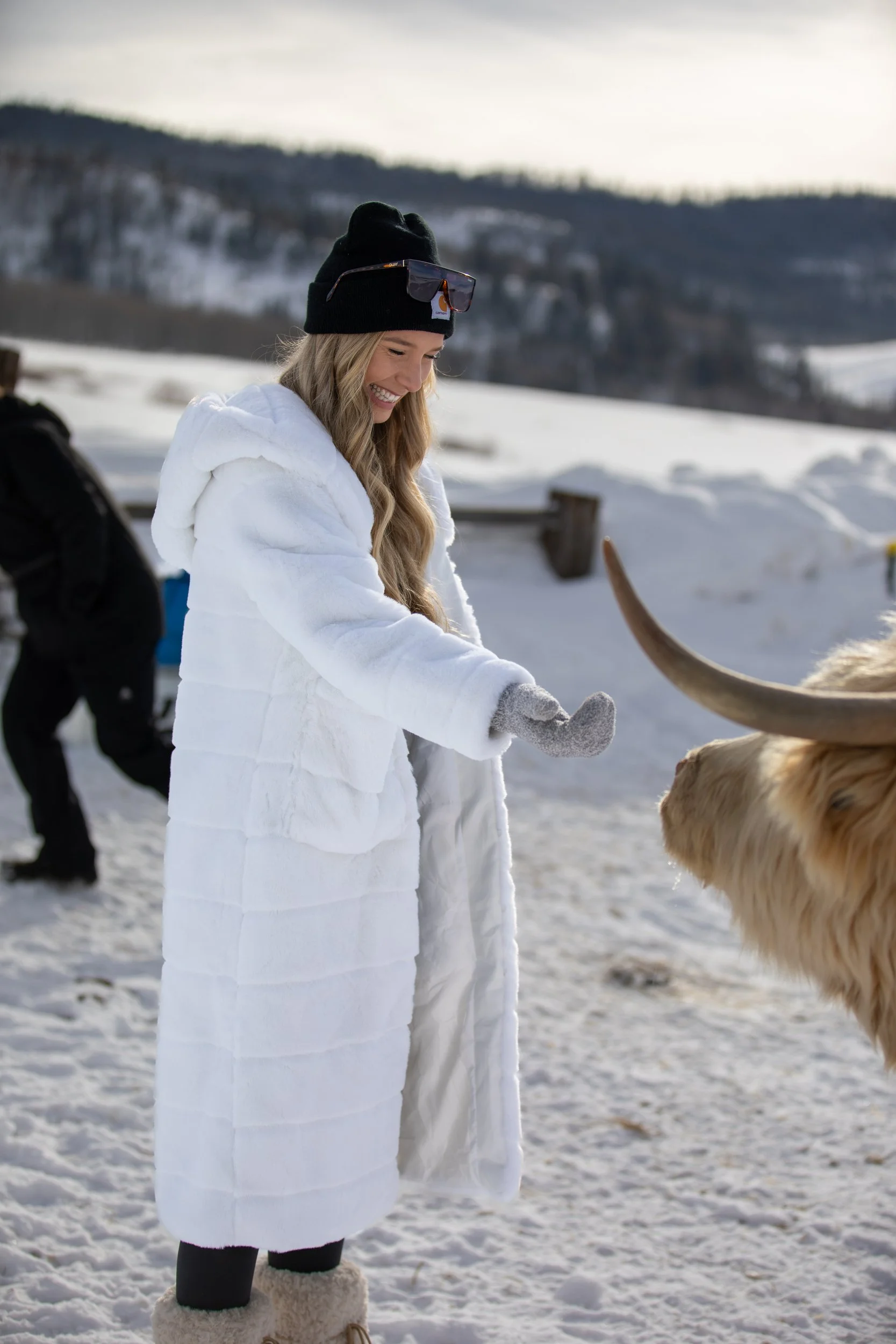 Woman in a long white coat and beanie walking past a Highland cow in snow at Tundra Springs, Colorado mountain wedding venue
