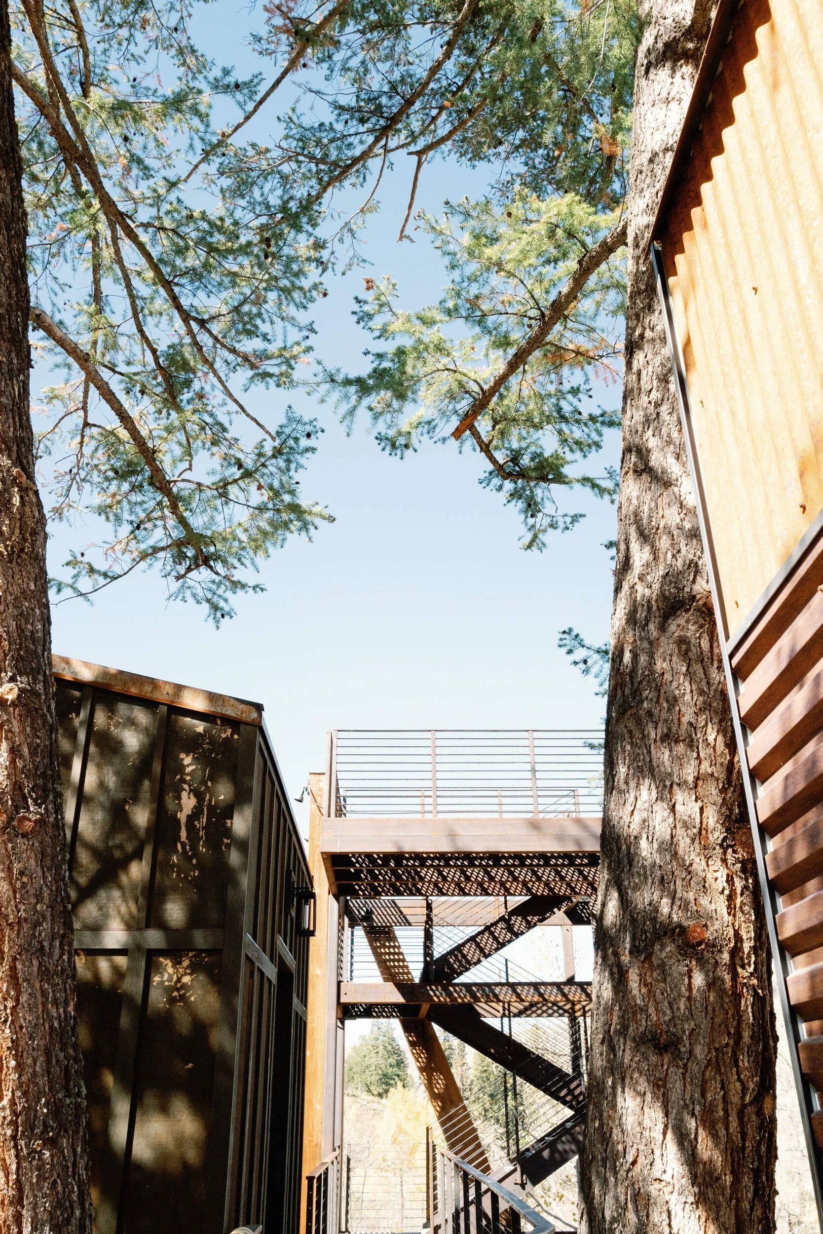 Tree house deck wrapped in pine branches beside a wooden walkway and dark siding in Hot Sulphur Springs, Colorado
