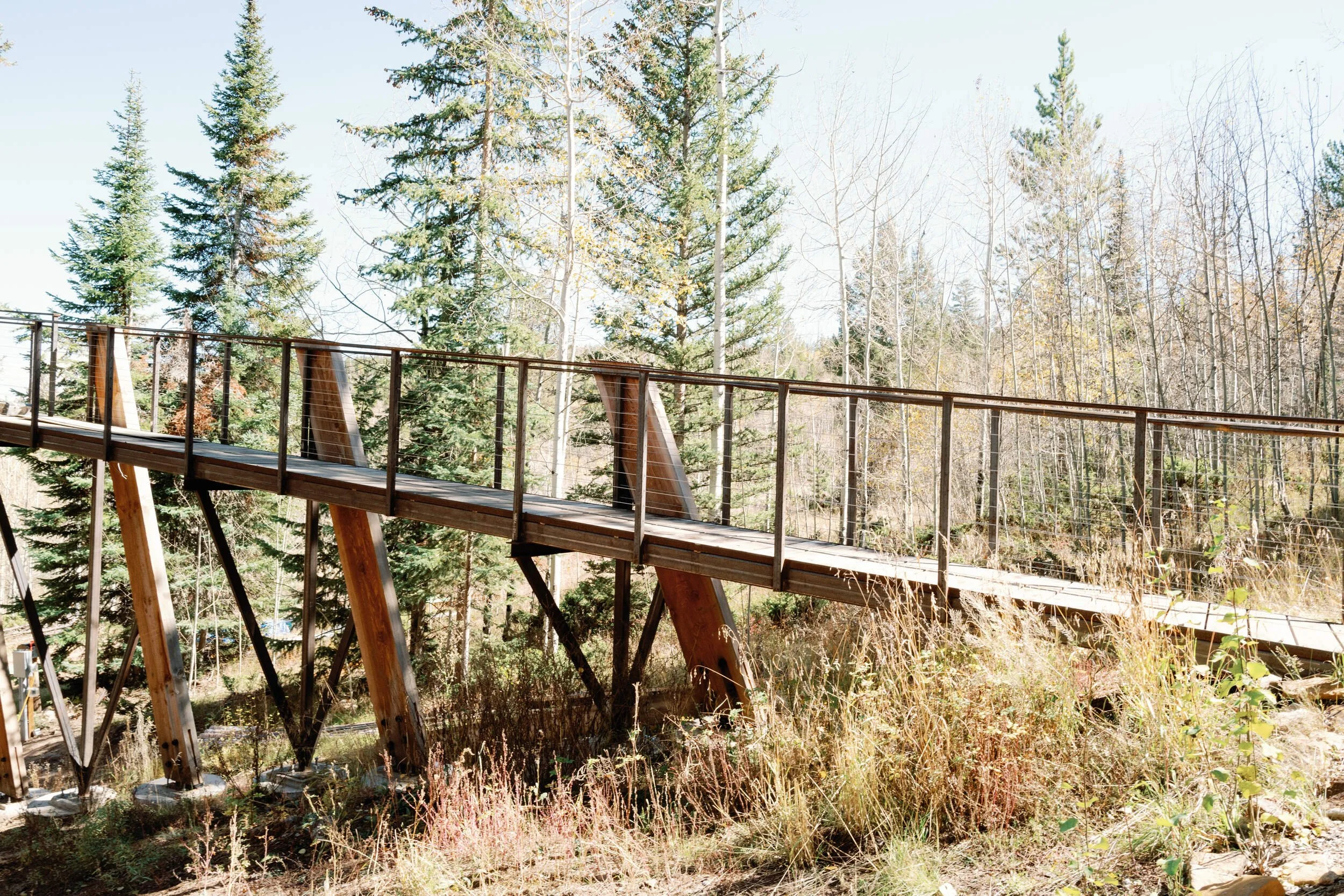 Elevated wooden walkway with metal railings crossing a sunlit meadow at Tundra Springs, Colorado mountain wedding venue