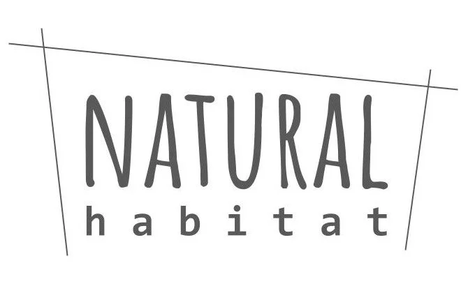 Your Site Title