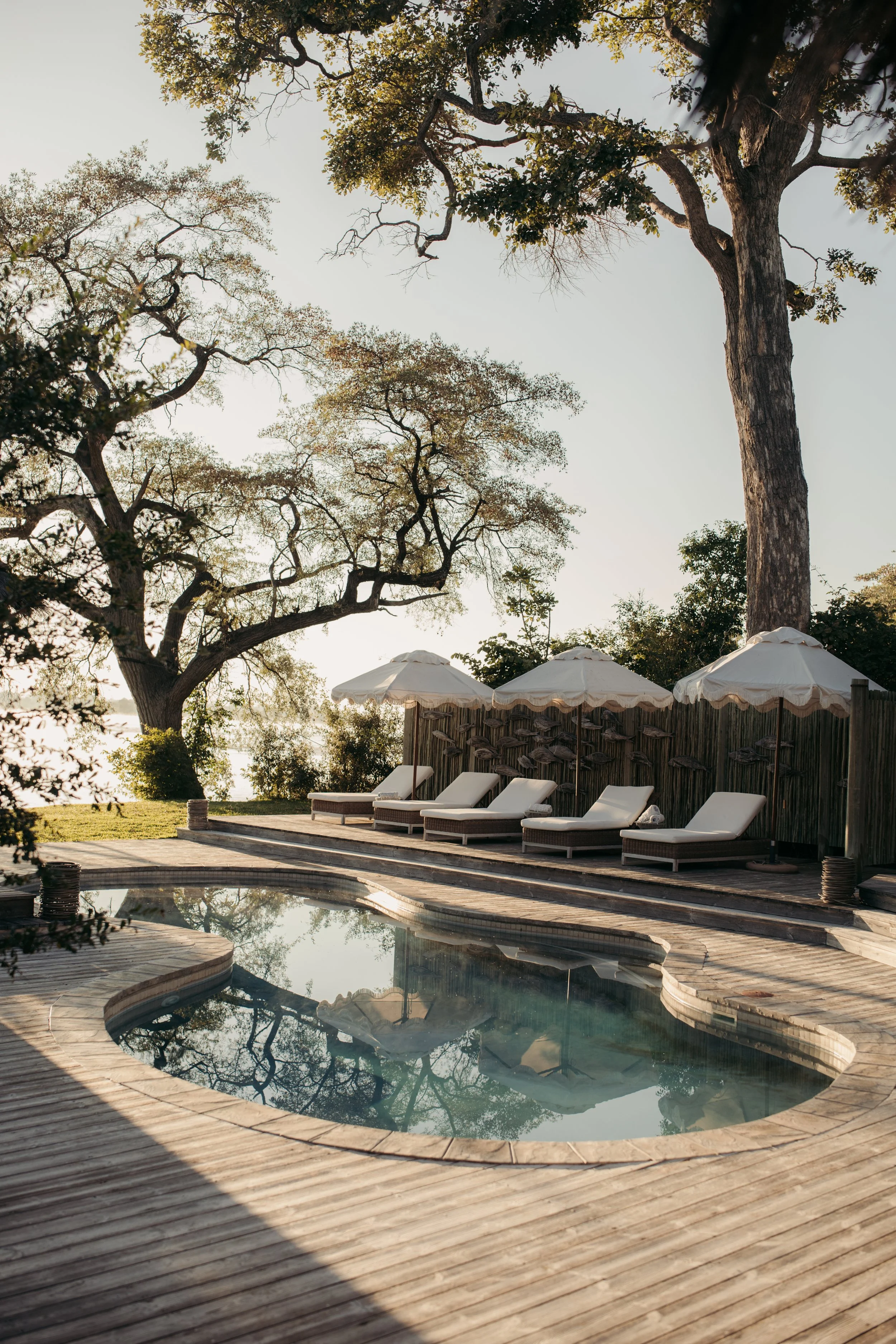 Mpala Jena Zimbabwe pool aesthetic luxury safari property lodge
