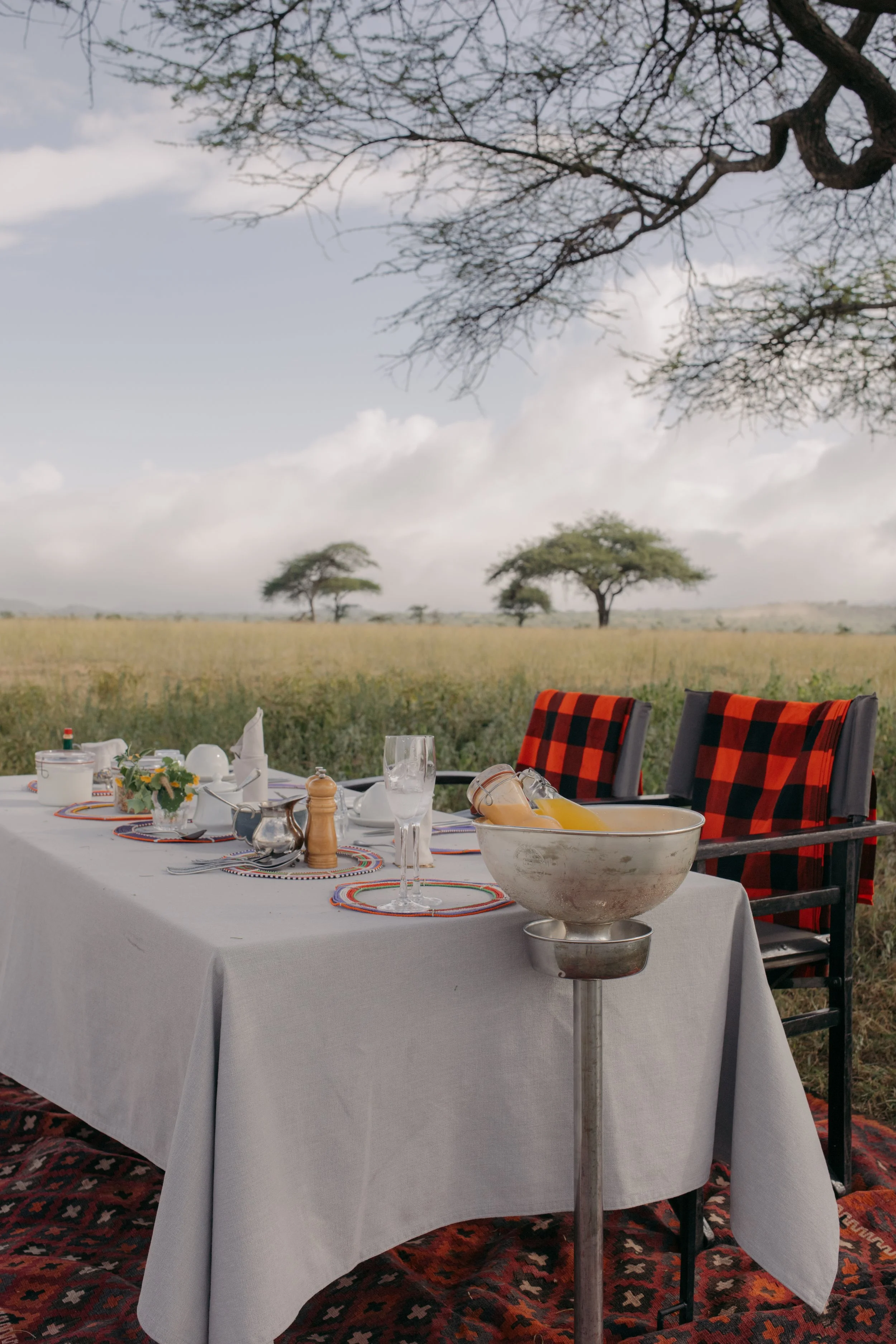 Great Plains bush breakfast setup luxury safari