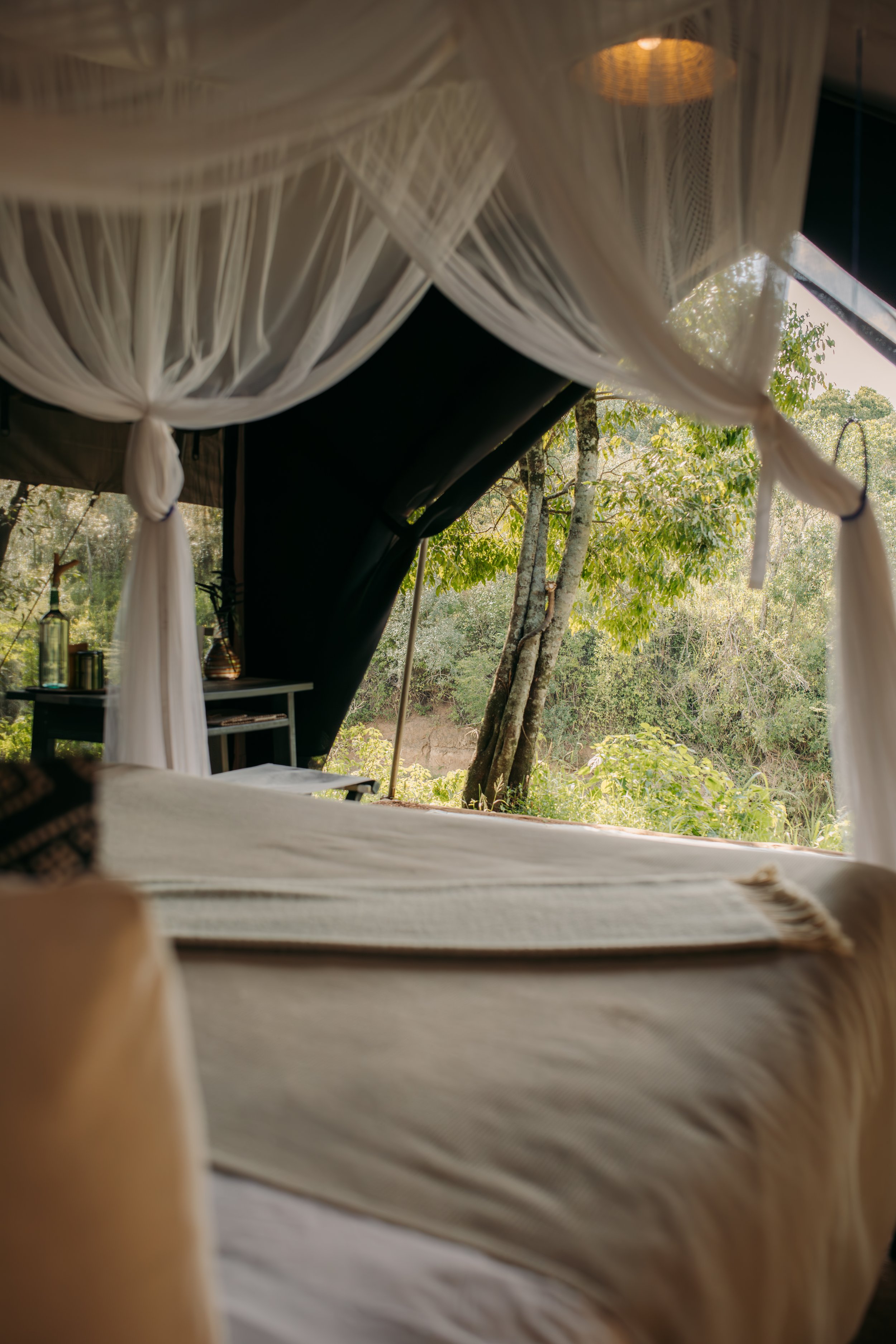 White canopy curtains framing a lush forest view from a rustic outdoor shelter