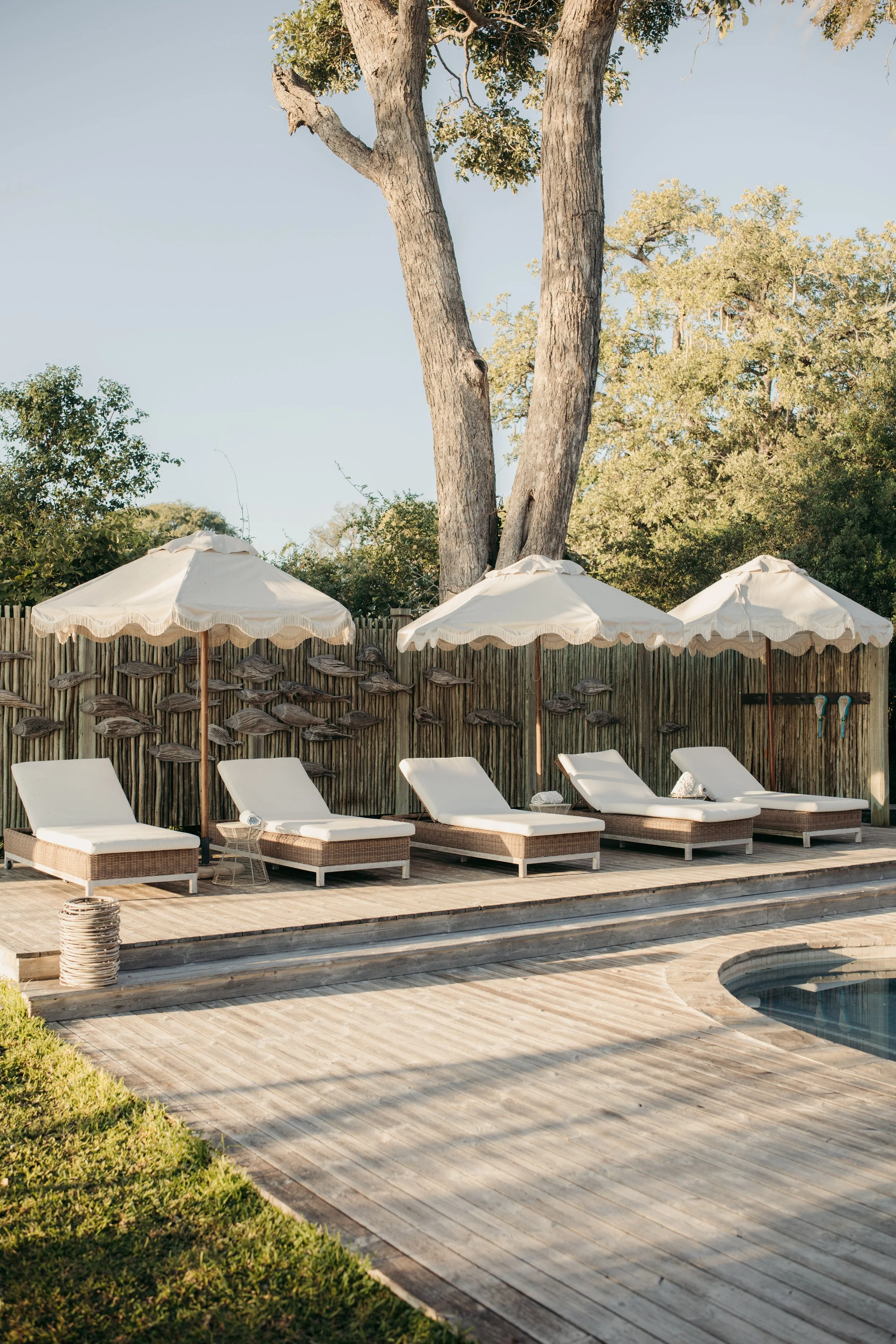 Mpala Jena pool side aesthetic luxury safari property lodge