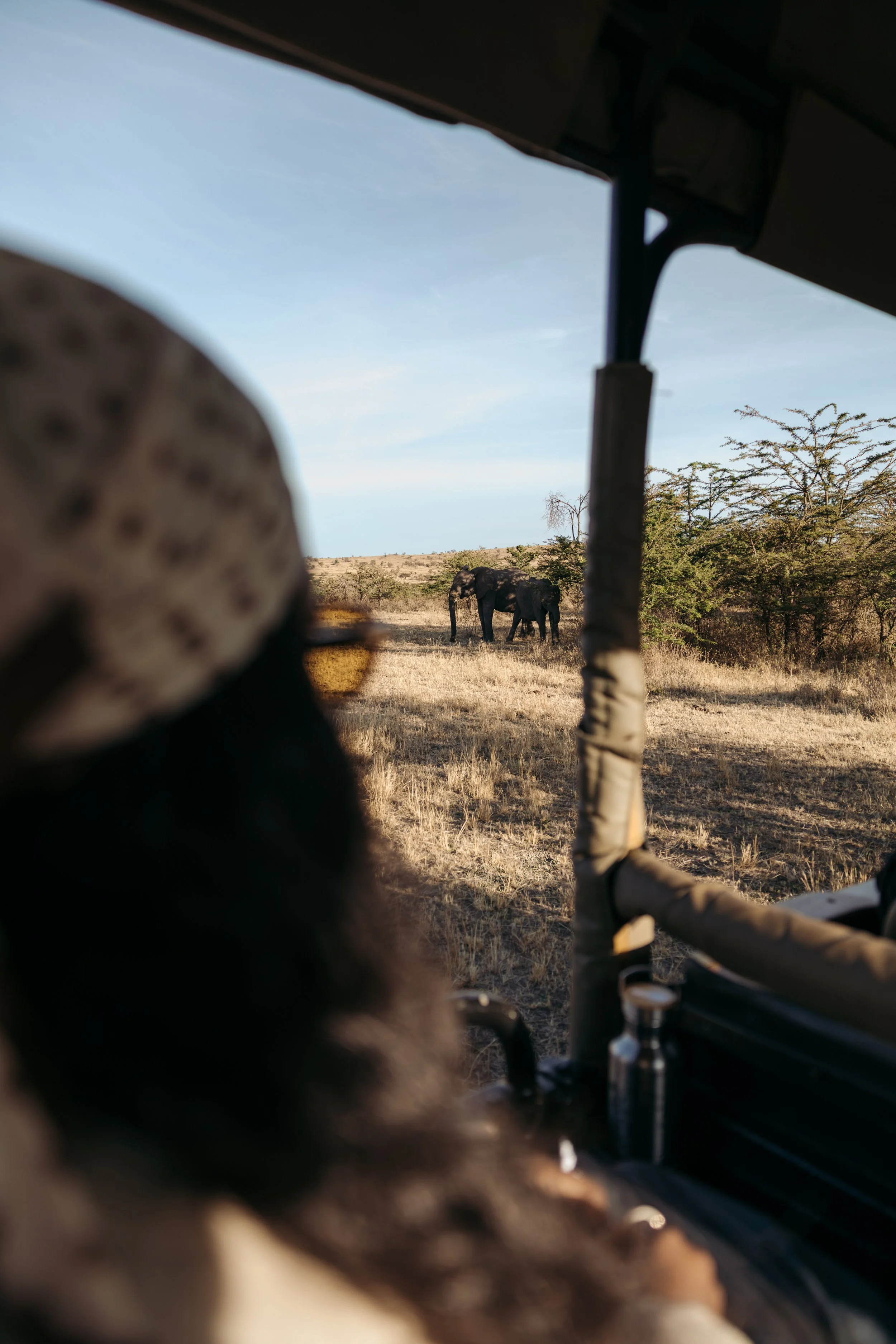 game drive Maasai Mara elephant guide vehicle candid guest experience wildlife