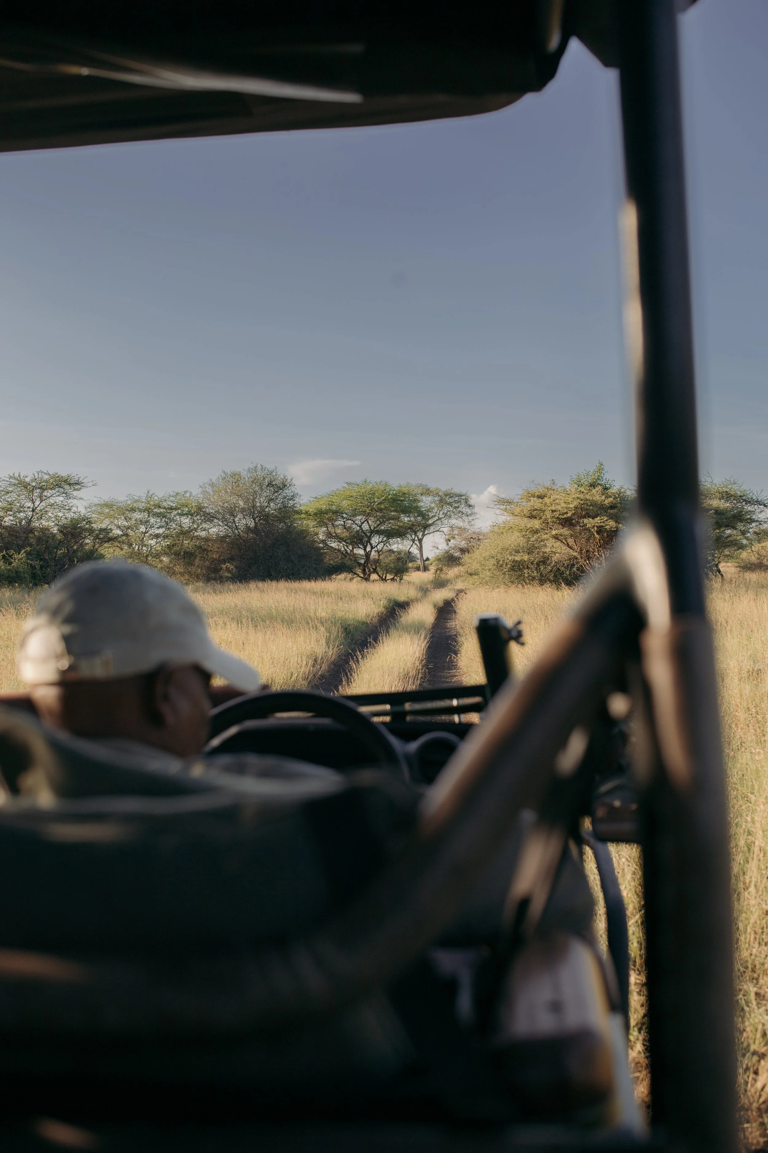 Great Plains safari game drive guide vehicle bush plains luxury property Kenya East Africa
