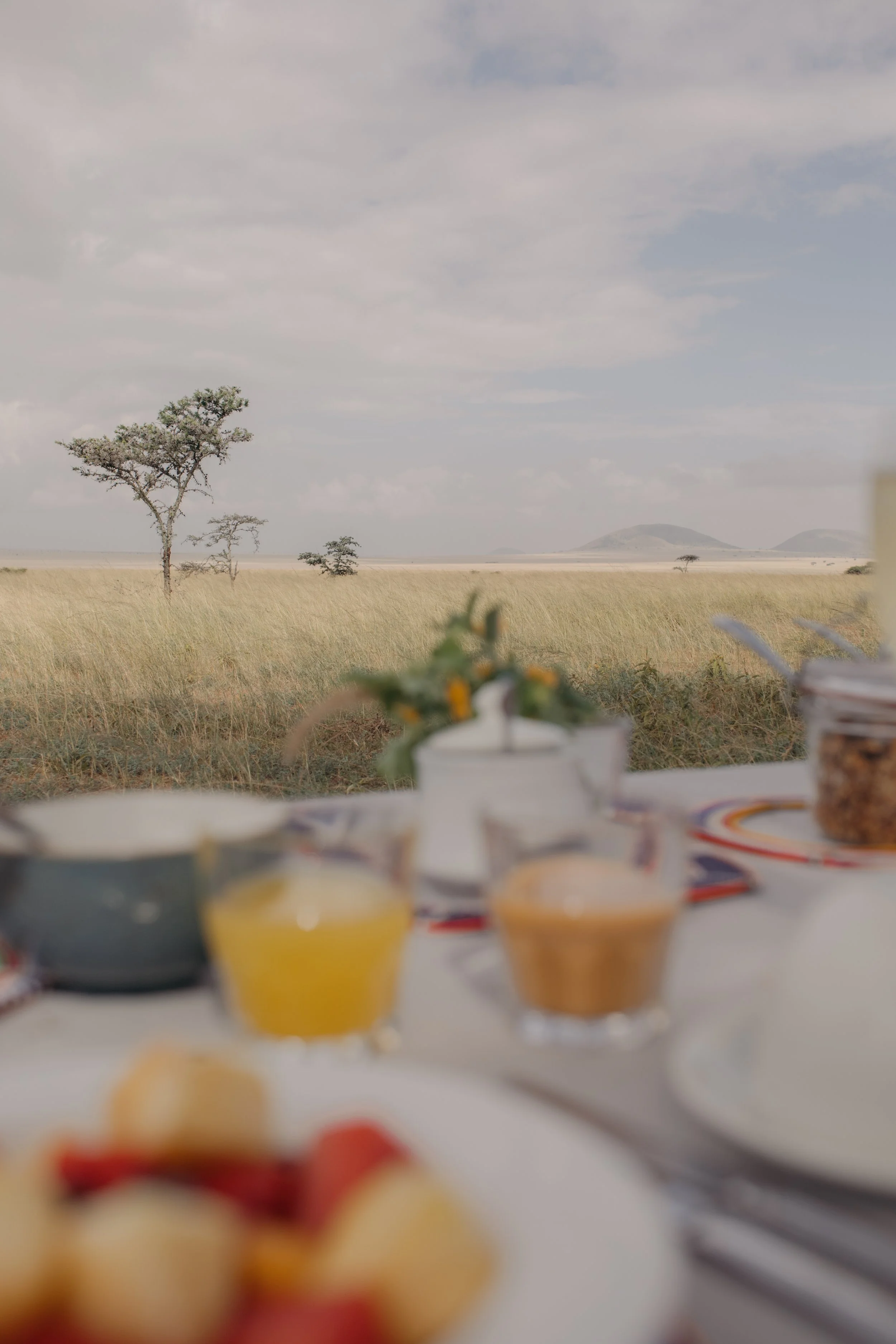 Ol Donyo Great Plains bush breakfast setup plains Africa Kenya wild luxury property lodge