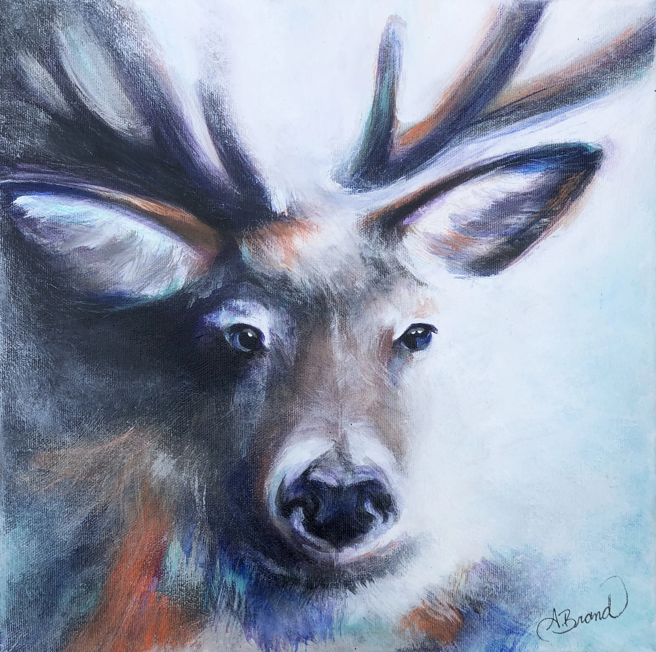 Deer Portrait, 2019, Acrylic on canvas, 12" x 12" NFS
