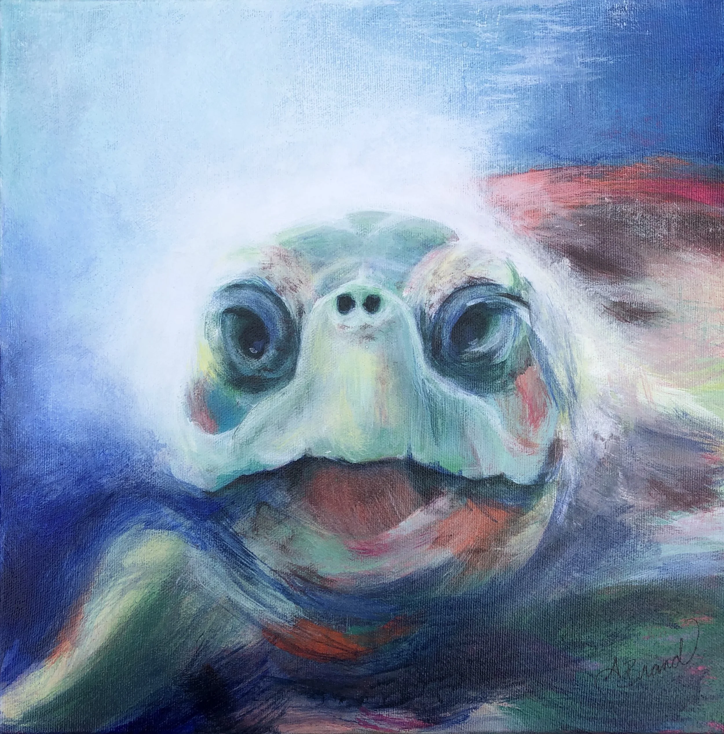 Carmen's Sea Turtle, Acrylic on canvas, 12" x12" (SOLD)
