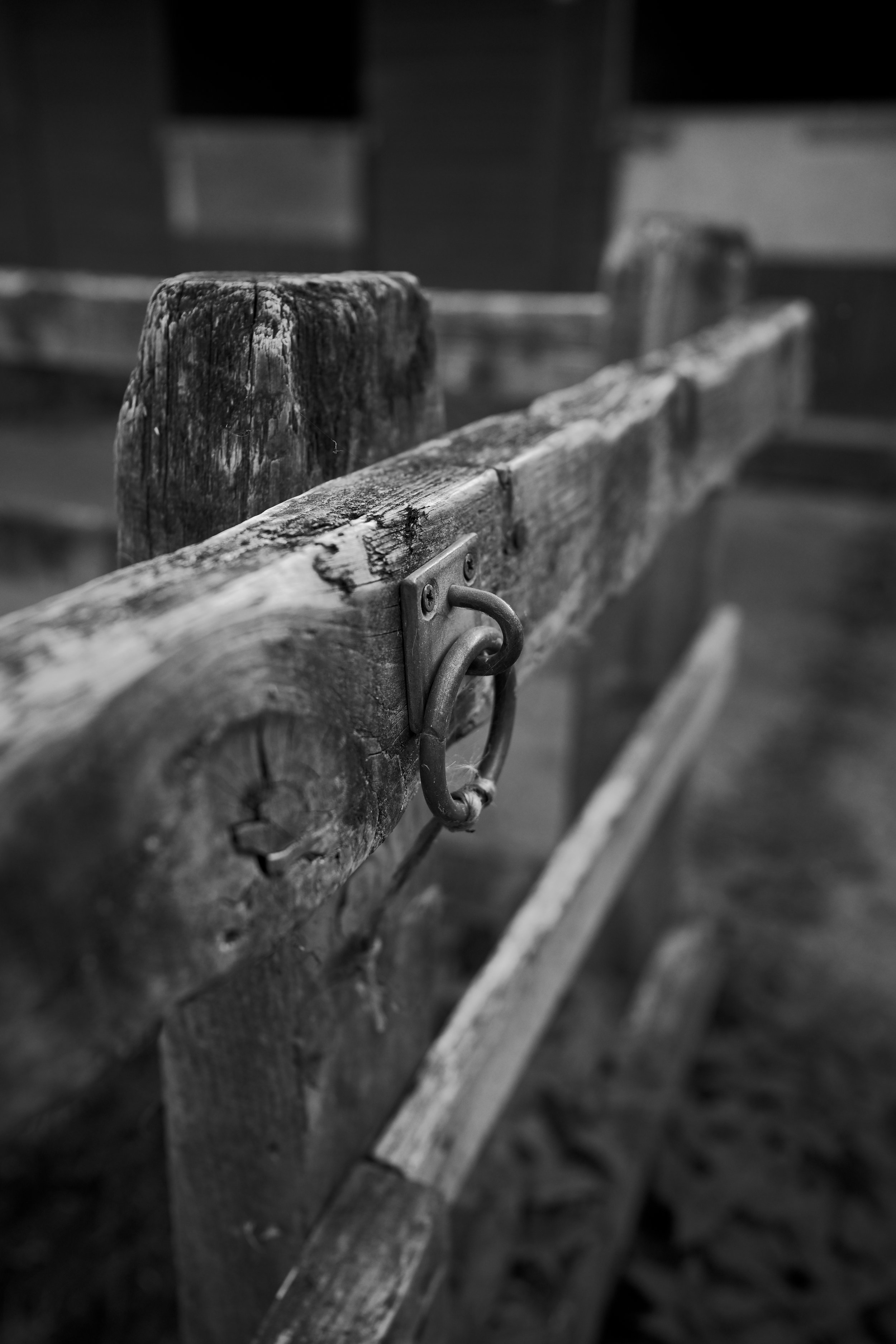 DSC_9324.JPG