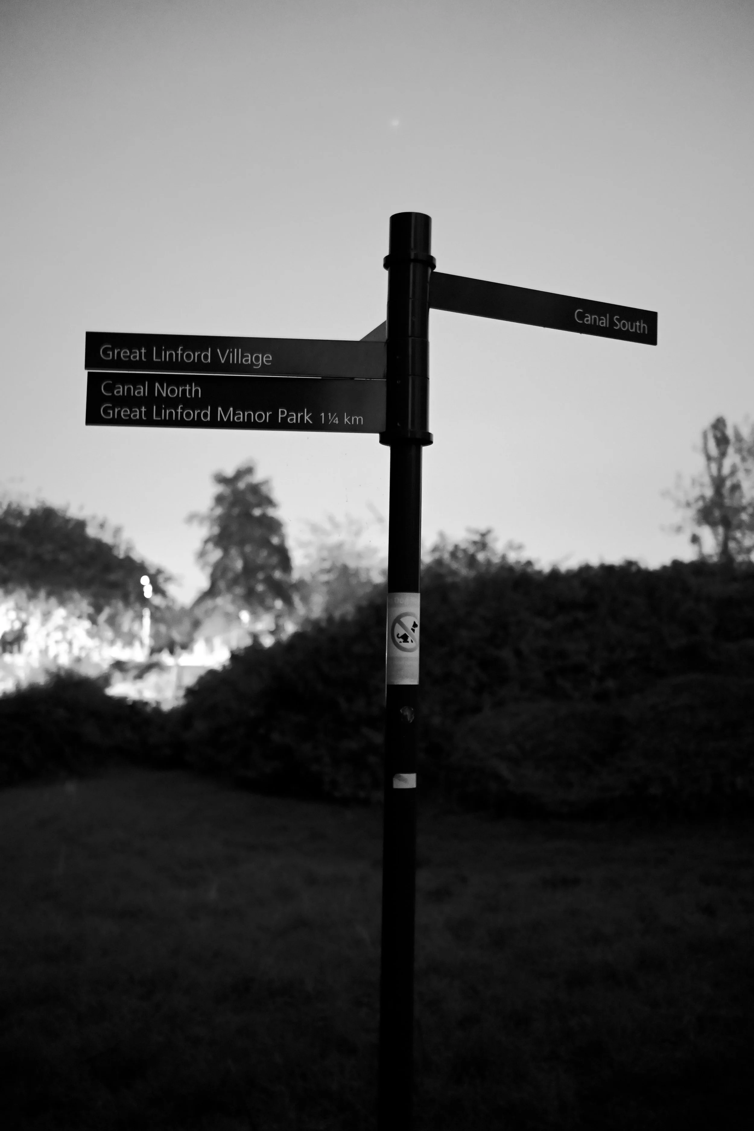 DSC_9474.JPG