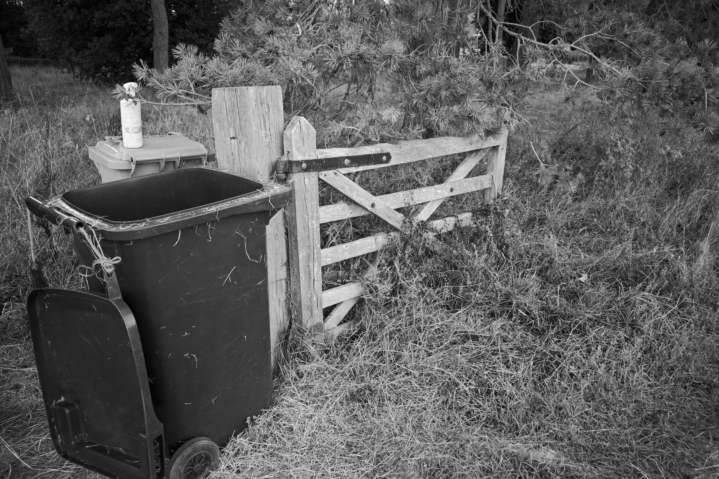 DSC_9842.JPG