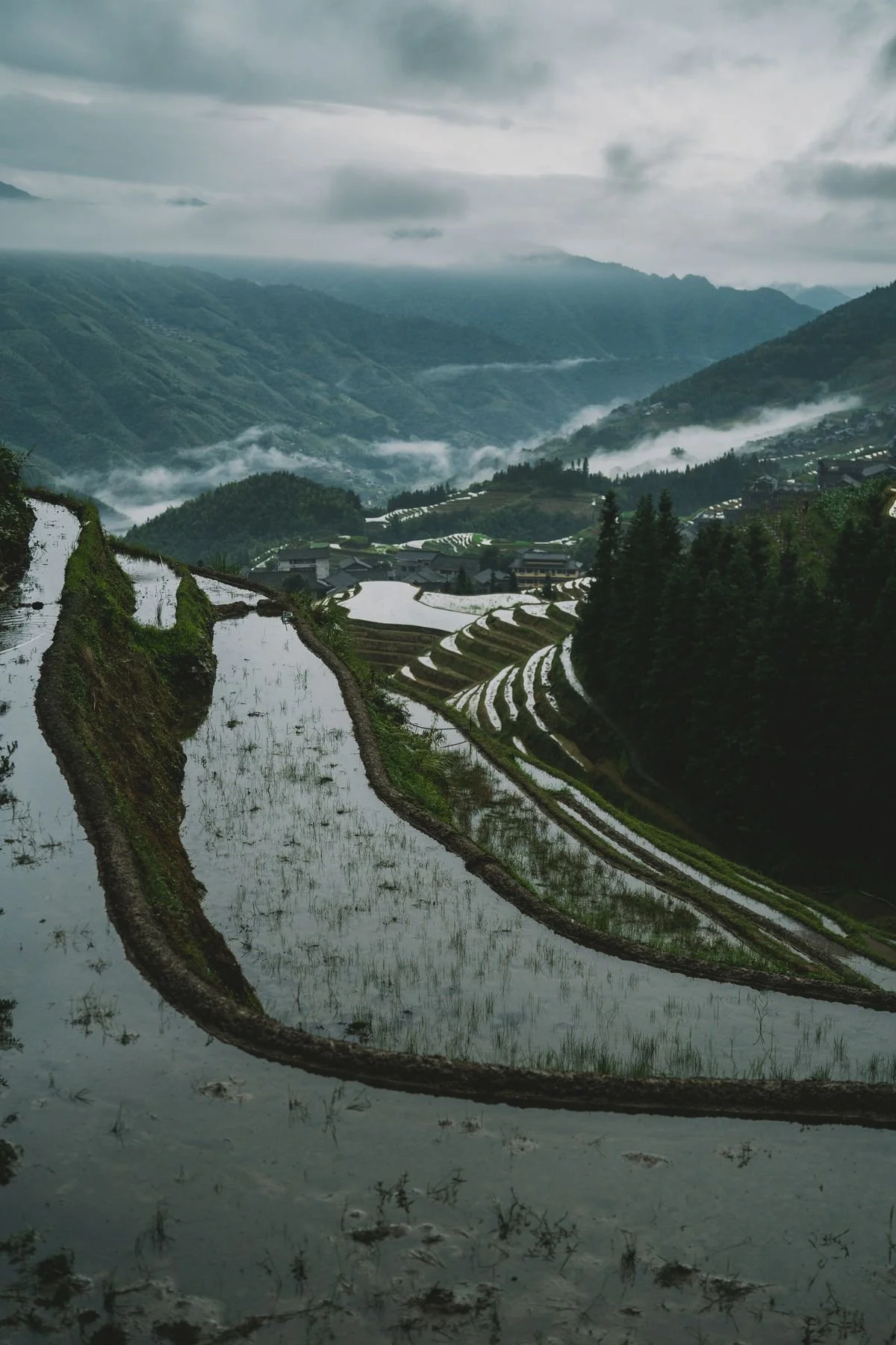02-flooded-terraces.jpg