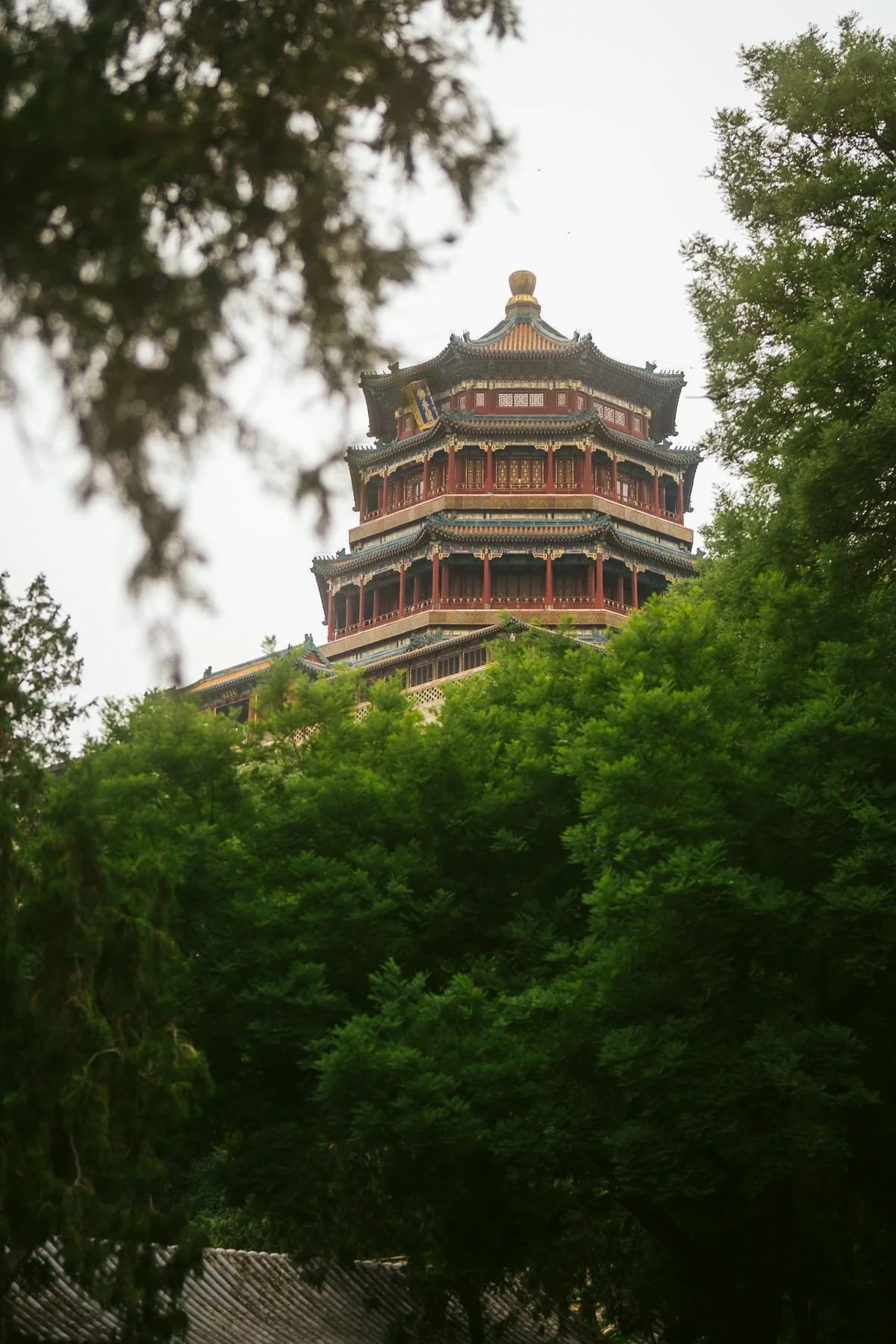 14-pagoda-in-the-trees.jpg
