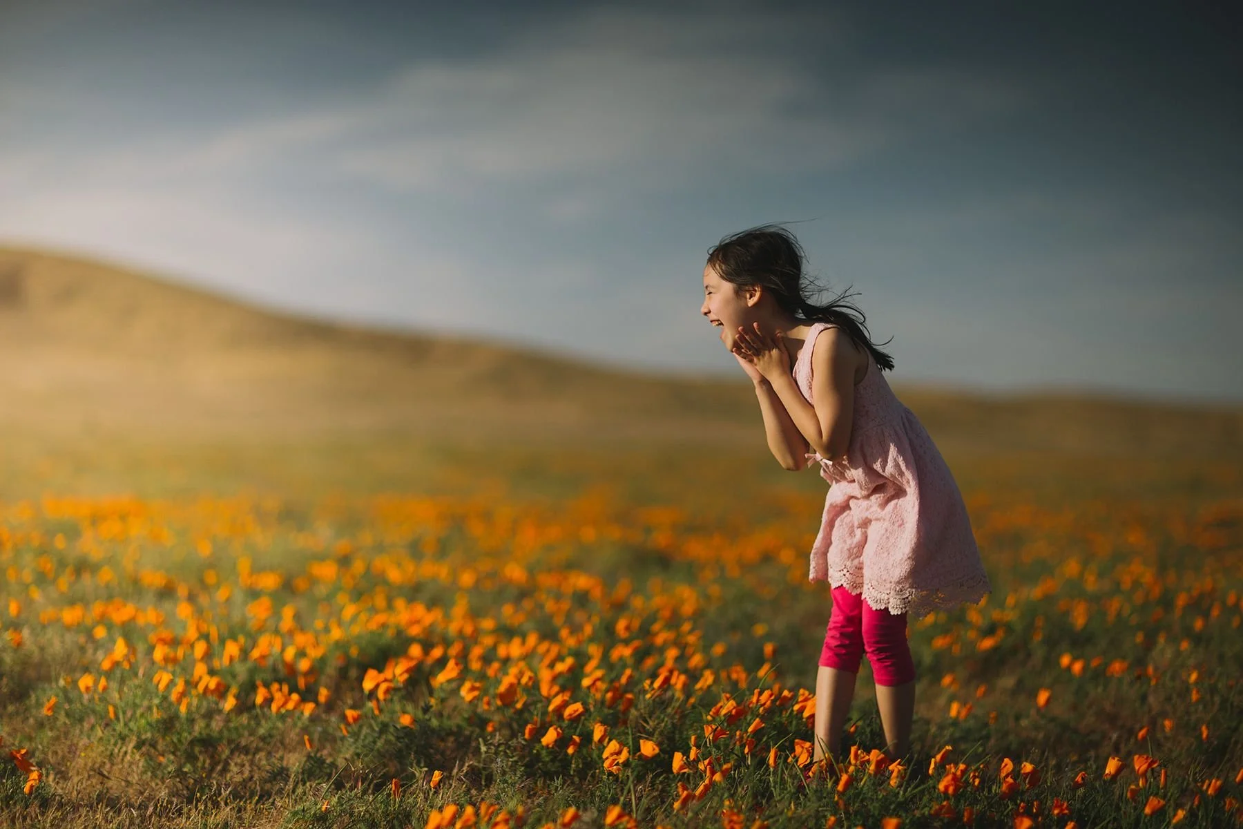 35-poppy-field.jpg