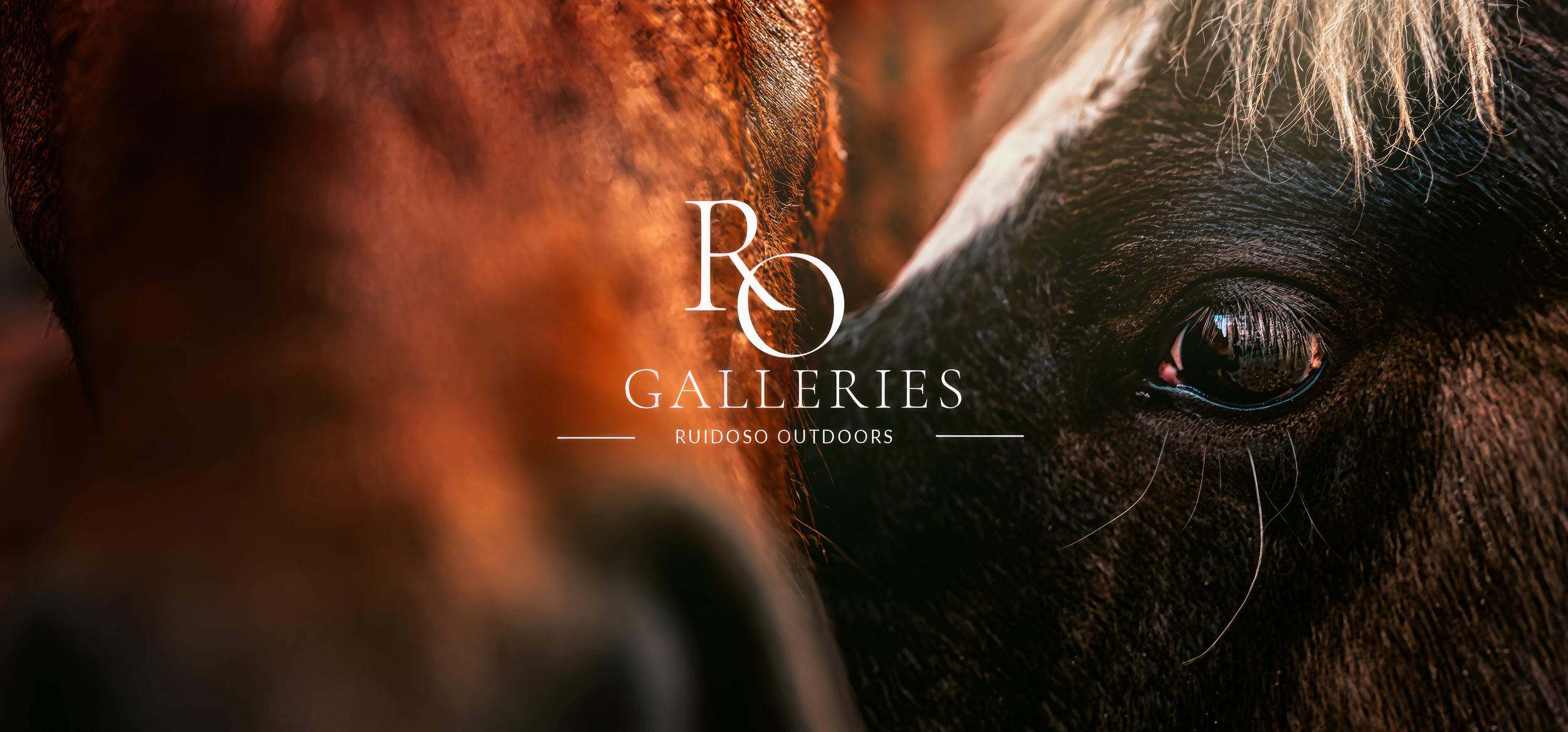 Close-up of a brown horse’s eye with R&D Galleries, Ruidoso Outdoors logo overlay