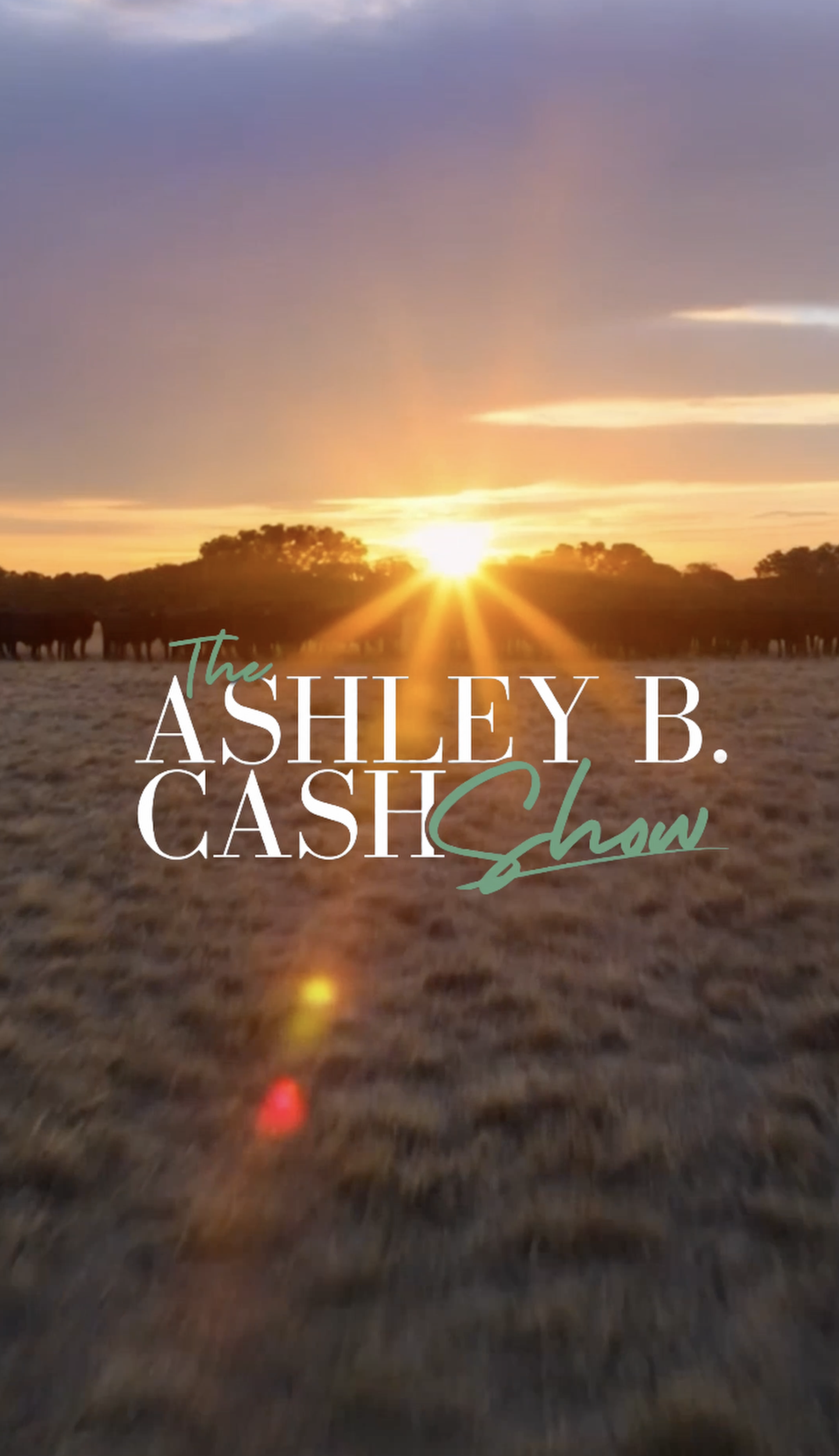 Sunset over a grassy field with silhouetted trees and text reading “The Ashley B. Cash Show.”