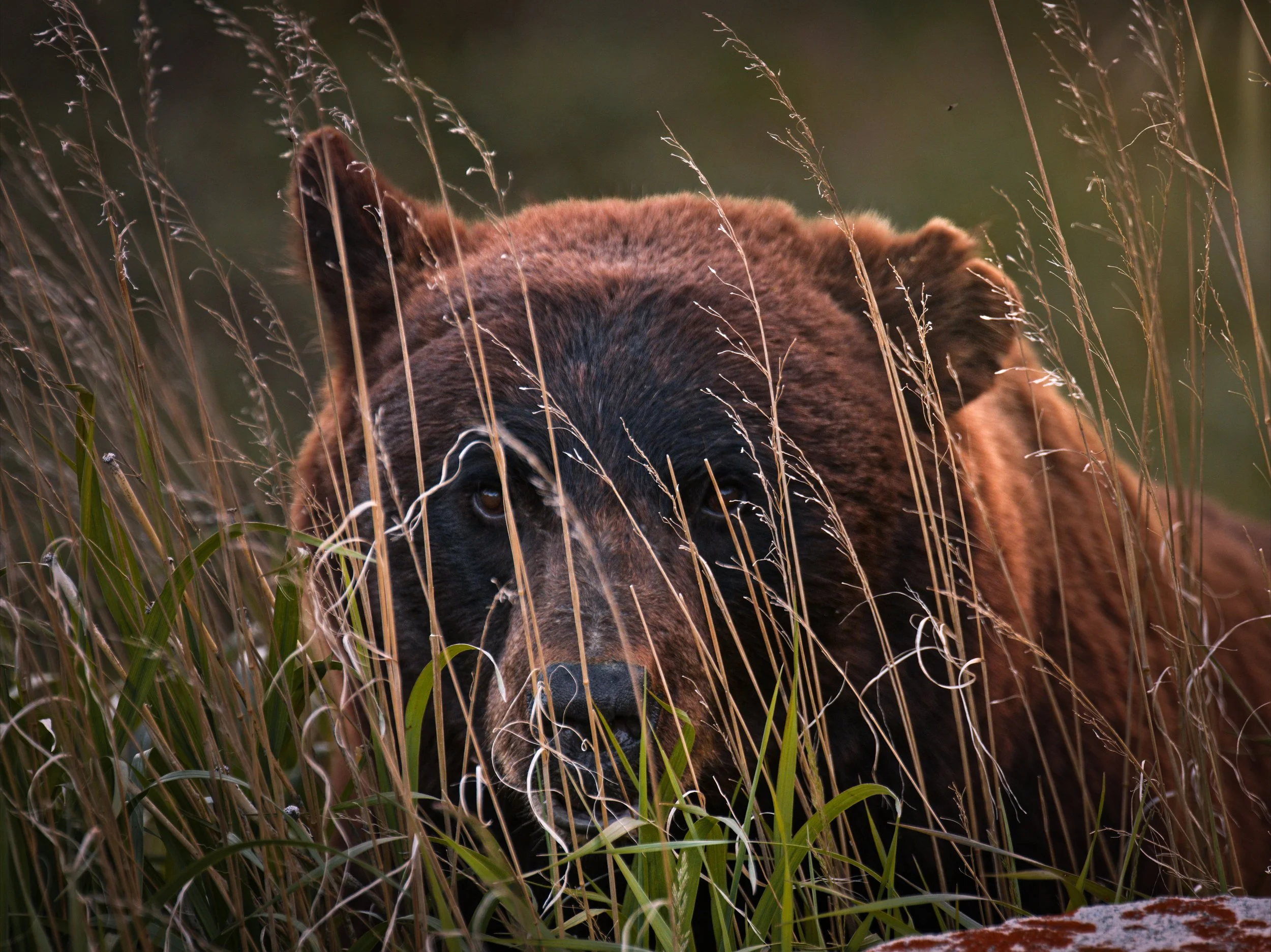 ABC P3-14.jpg