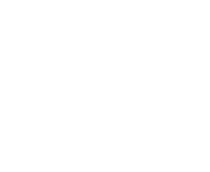TOYOTA.png