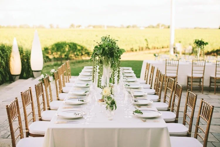 notl-wedding-photgrapher-stratus-vinyards-17.jpg