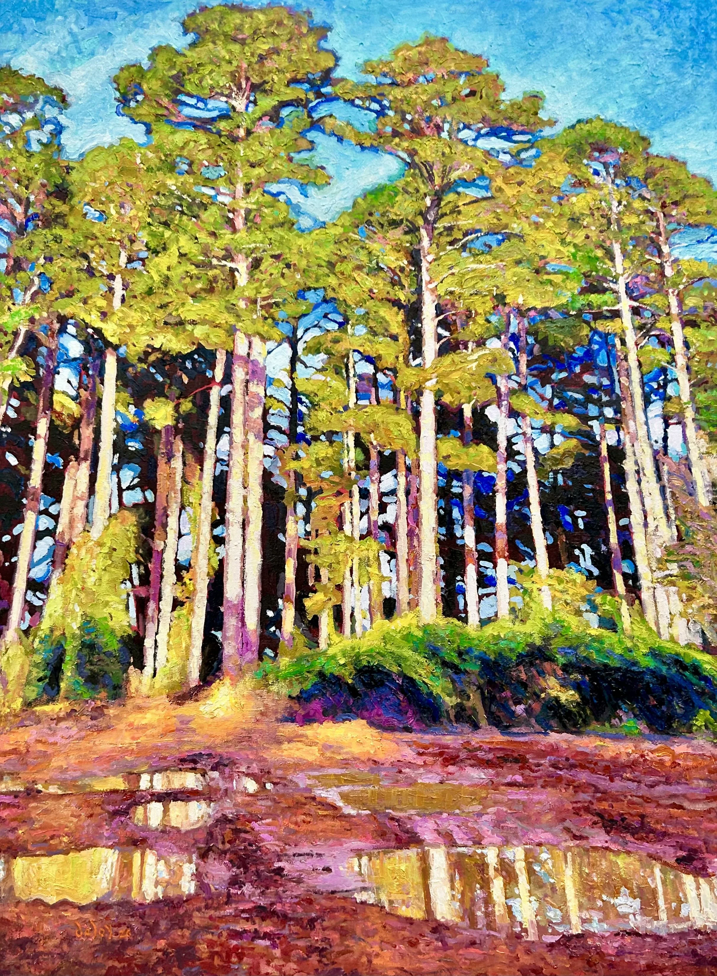 Pine Belt,  30x40 inches, oil on canvas
SOLD