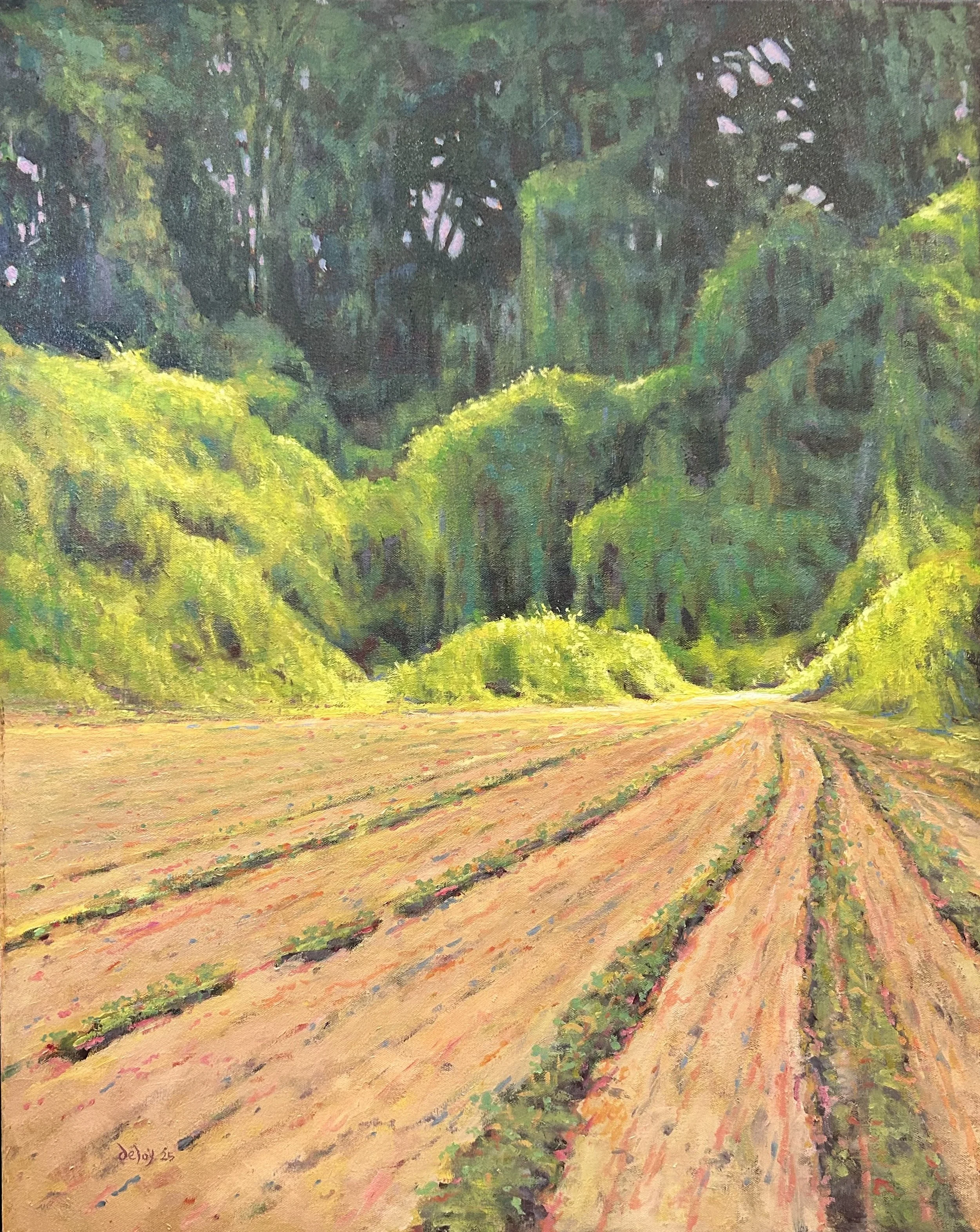 Kudzu Falls,  24x30 inches, oil on canvas
$900