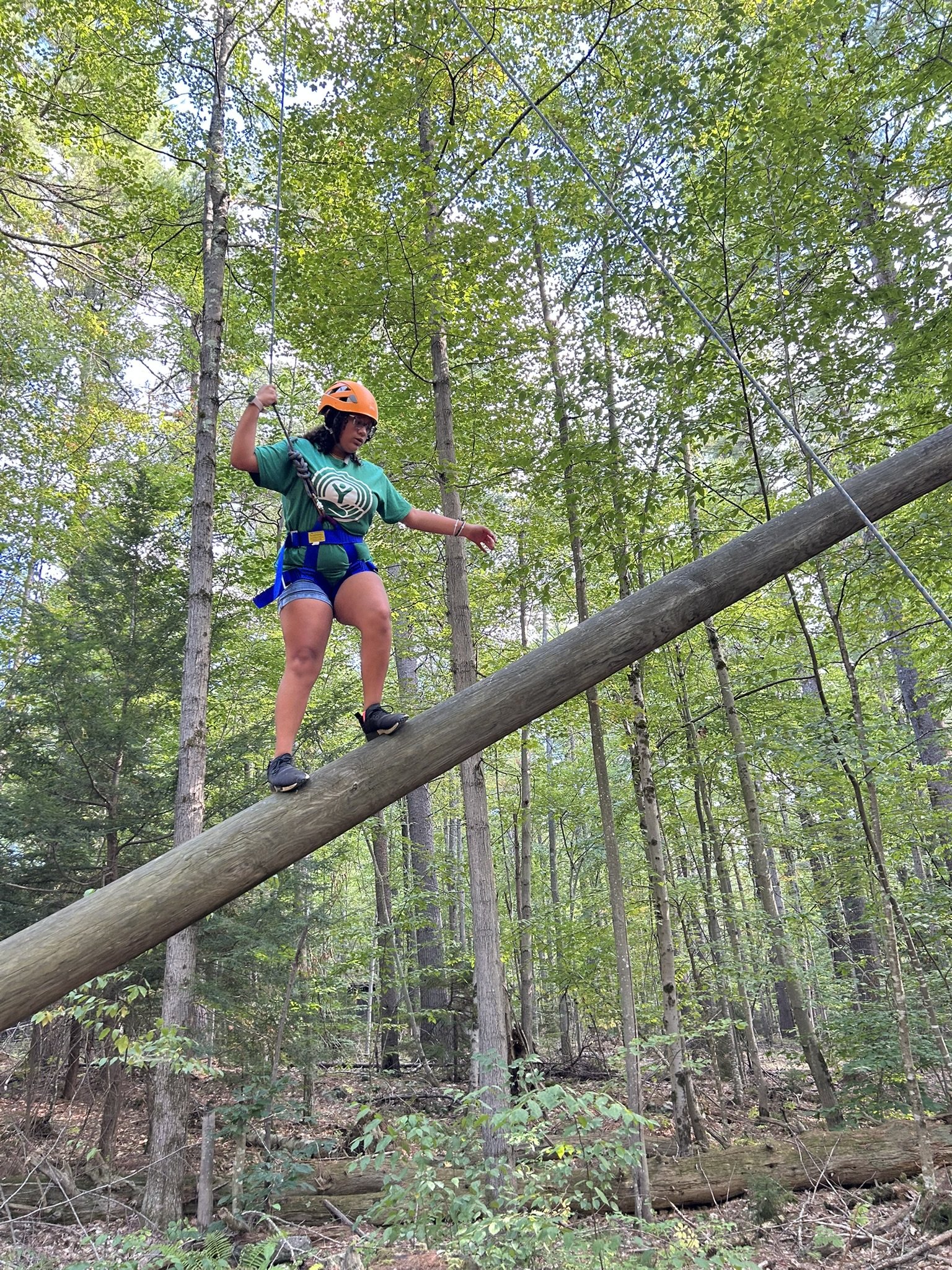 goin up.JPEG