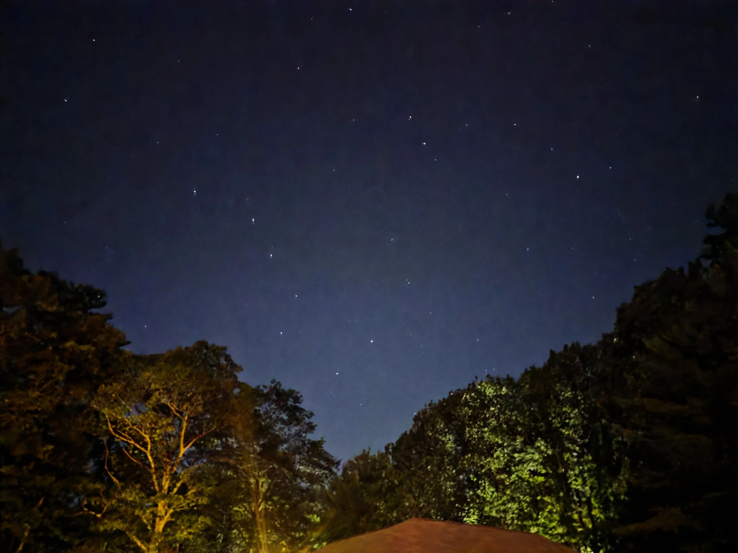 stars.jpg