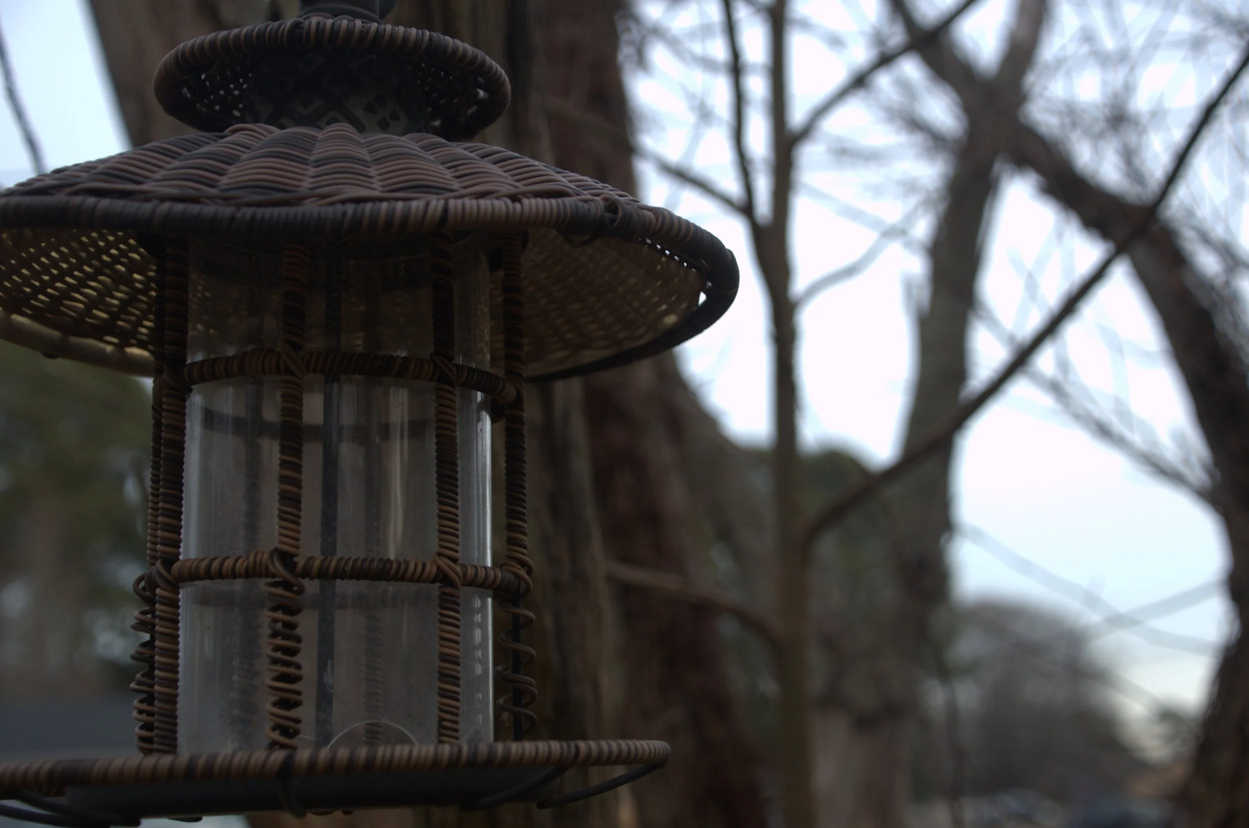 Bird feeder.jpeg