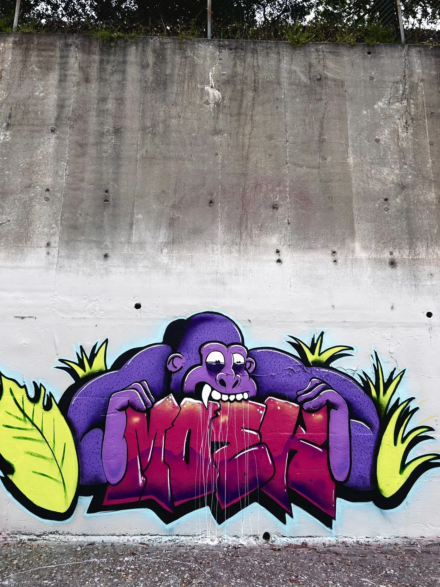 Colorful graffiti mural of a purple gorilla with tropical leaves painted on a concrete wall