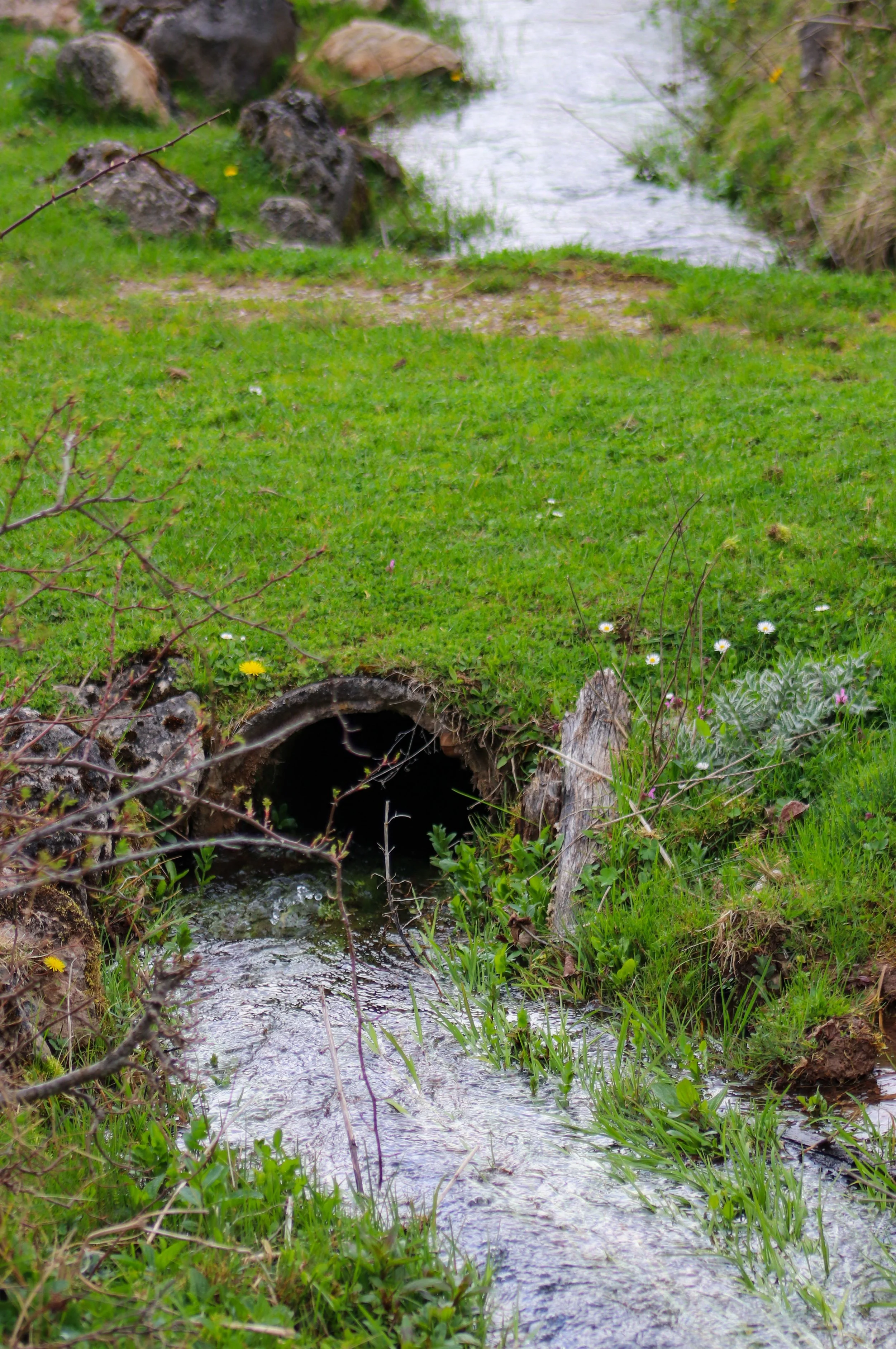 Drainage Infrastructure Asset Management