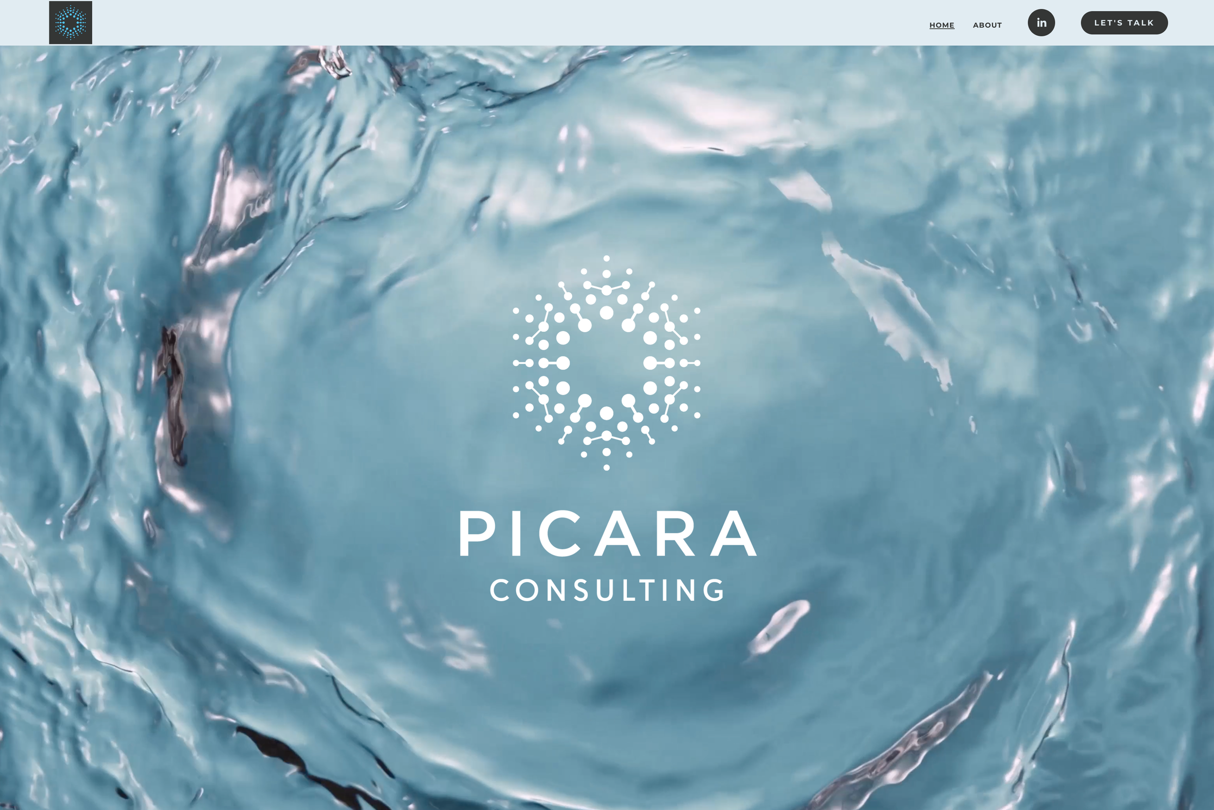 PicaraWeb.png