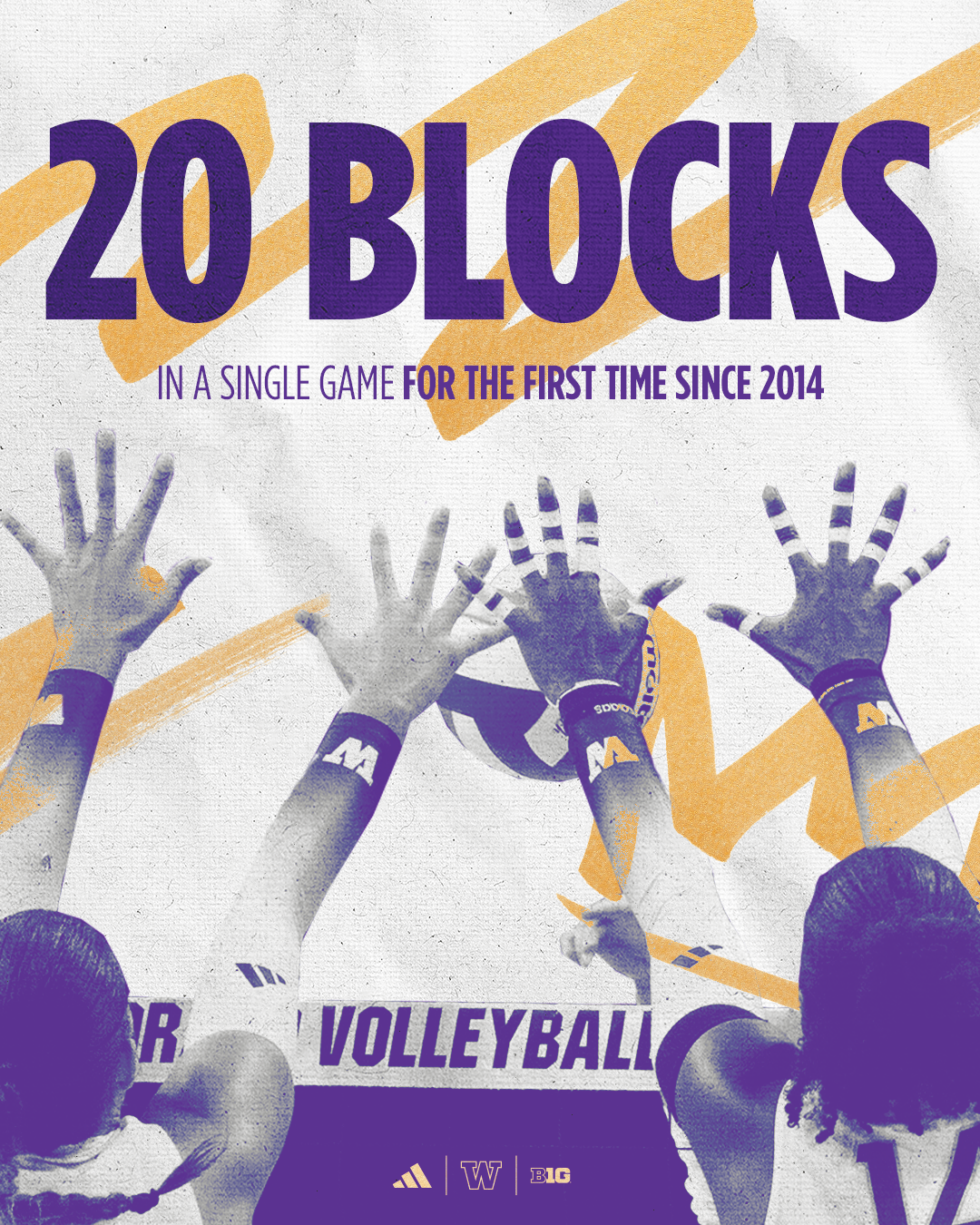 VB24-20blocks-4x5.png