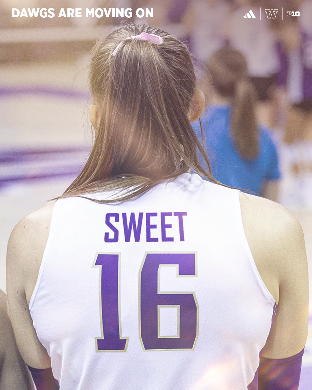 VB24-Sweet16.png