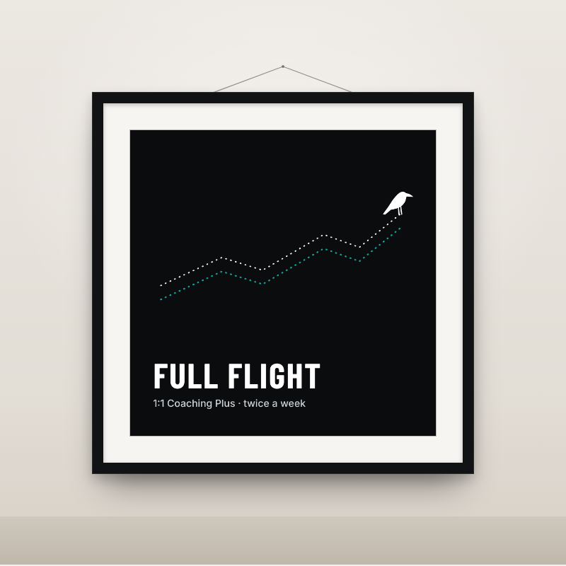 CrowFliesFitness_plan_full-flight_framed.png