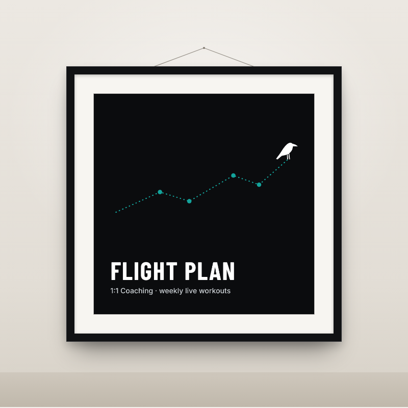 Flight Plan