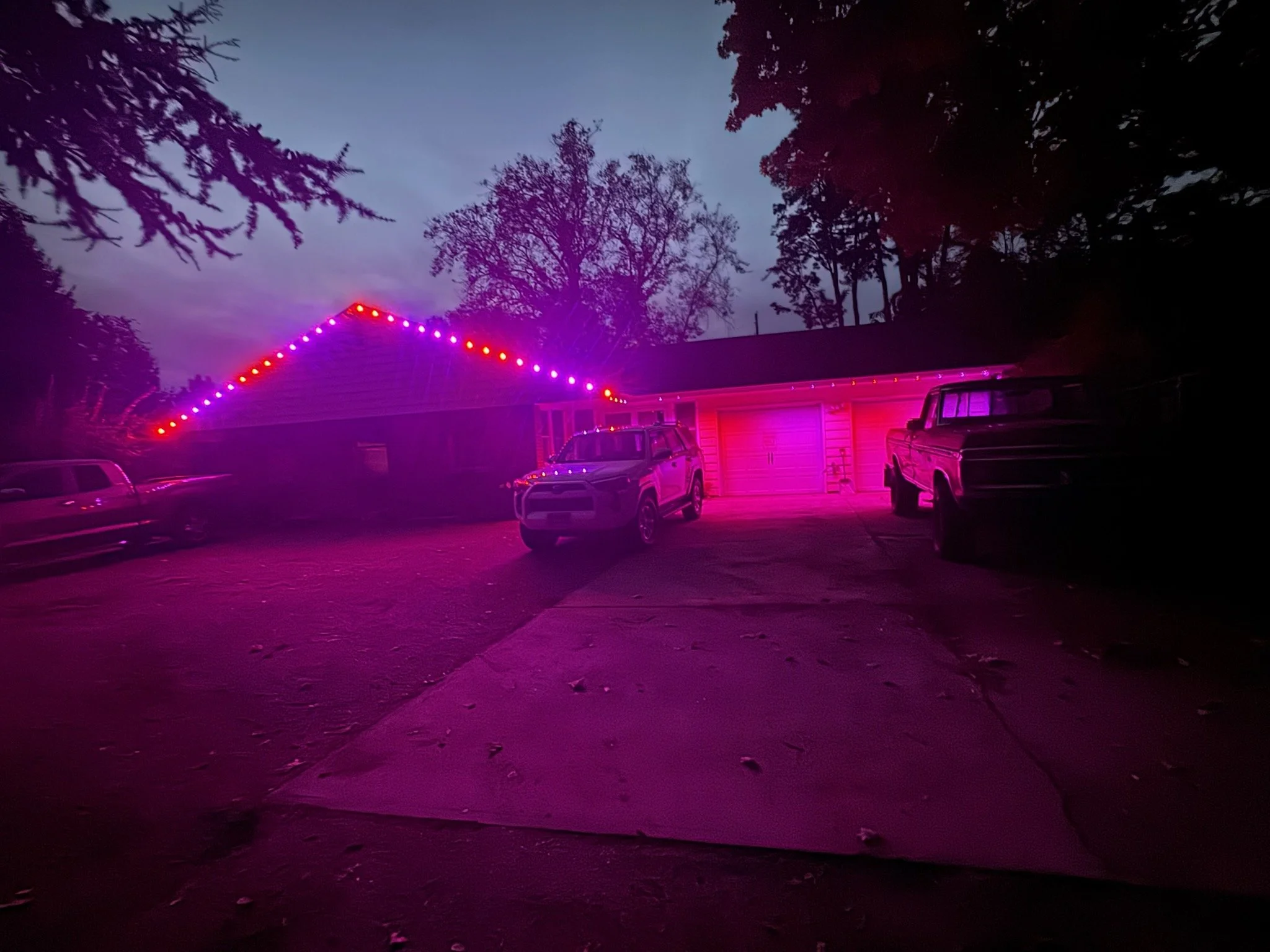 House and driveway illuminated by vibrant purple and red string lights at dusk, with three parked vehicles and surrounding trees.