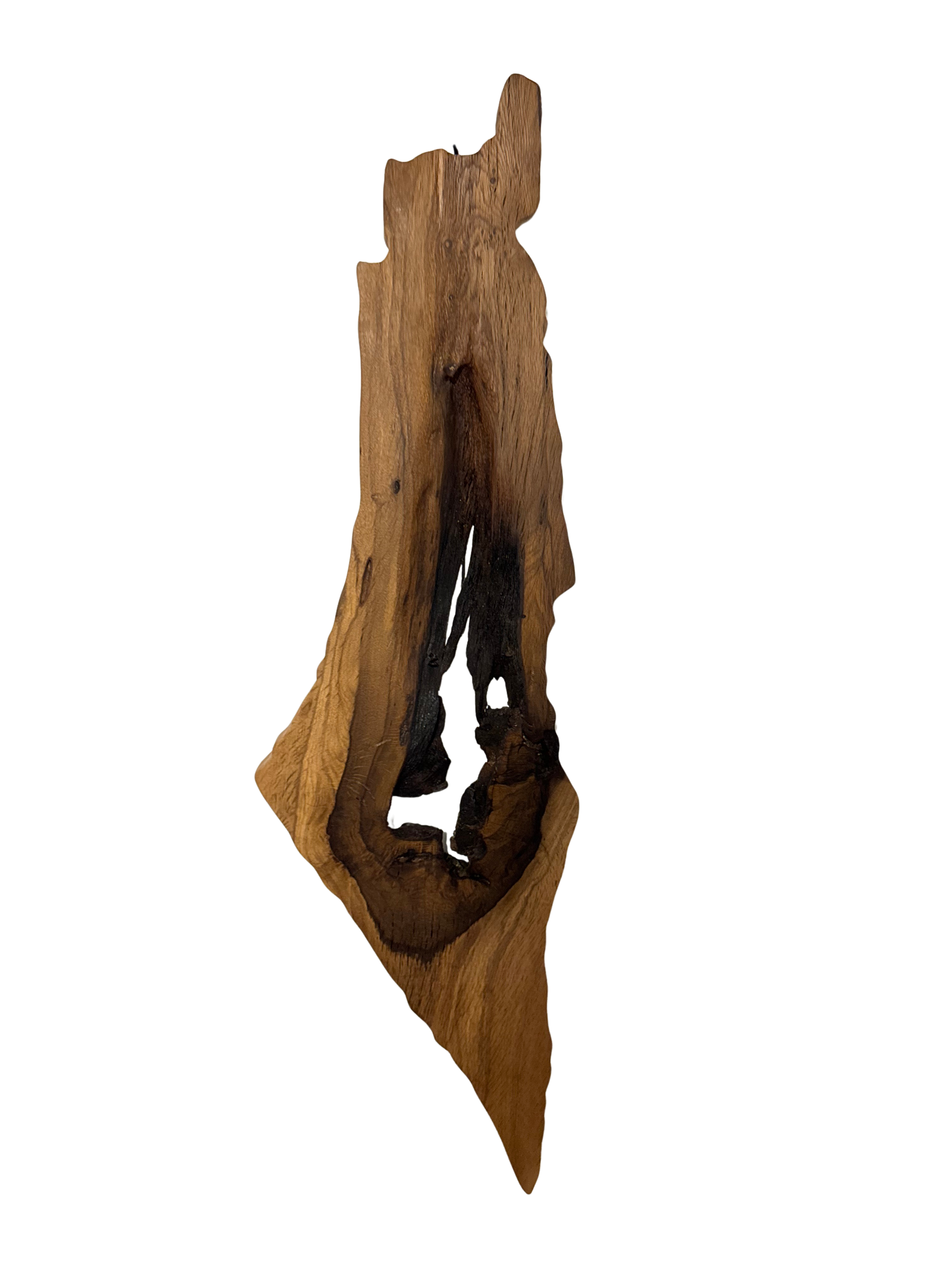 Palestine map, struck by lightning
