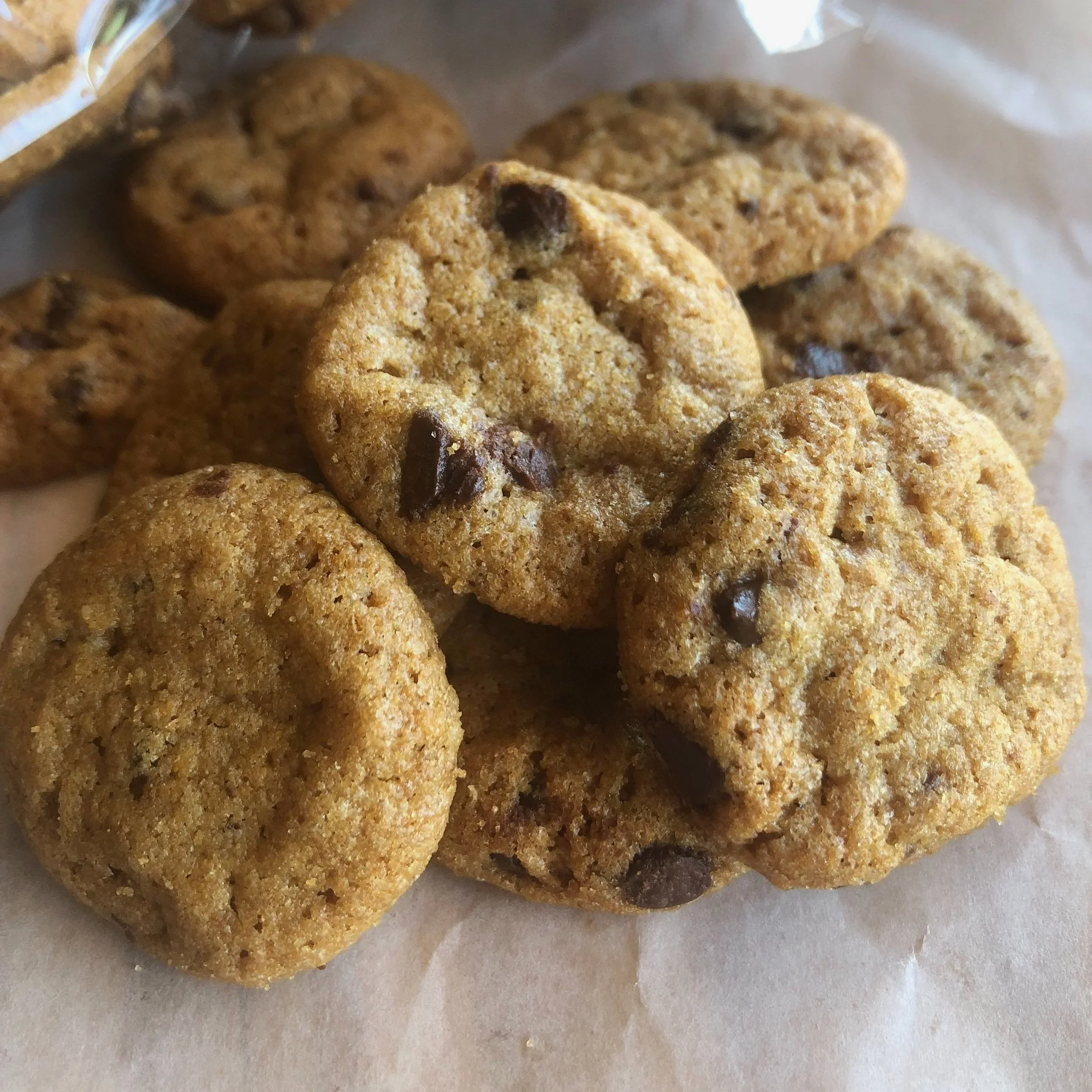 nibbles1.webp