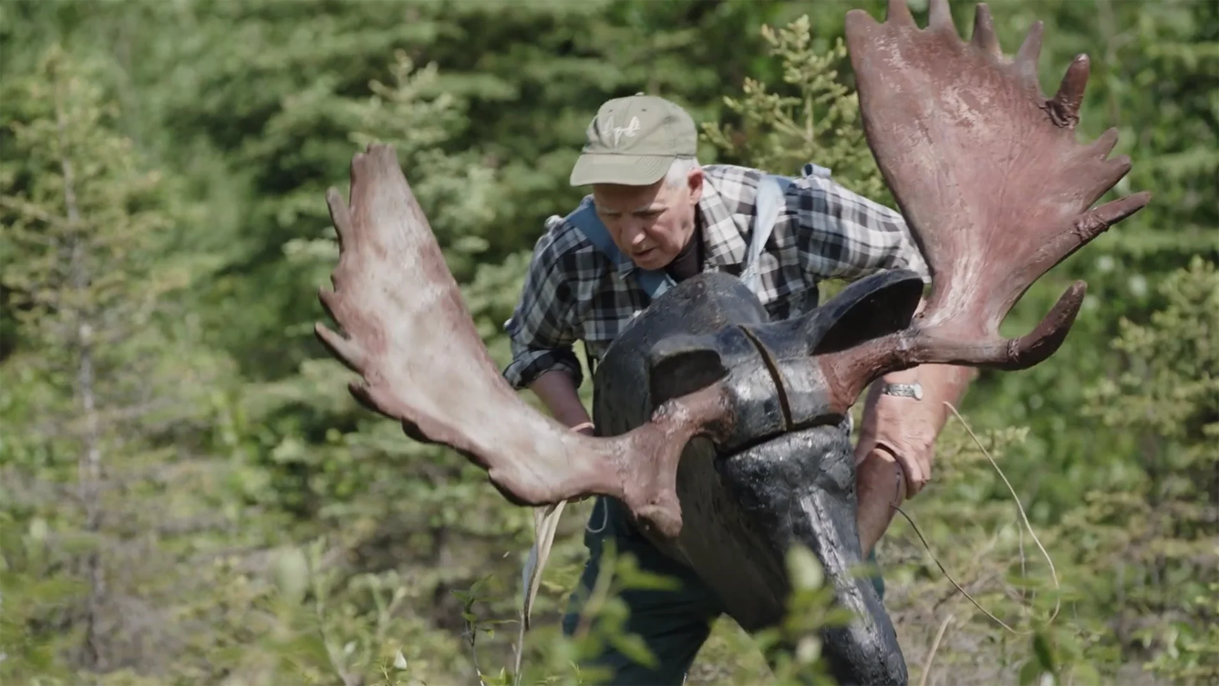 Man carrying a large moose head with antlers through a forest