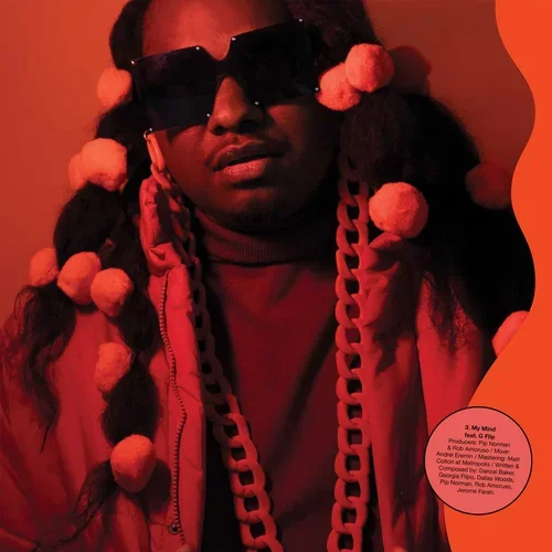 Portrait of a person wearing oversized black sunglasses, a red jacket, pom-pom hair accessories, and a chunky chain necklace against a red background