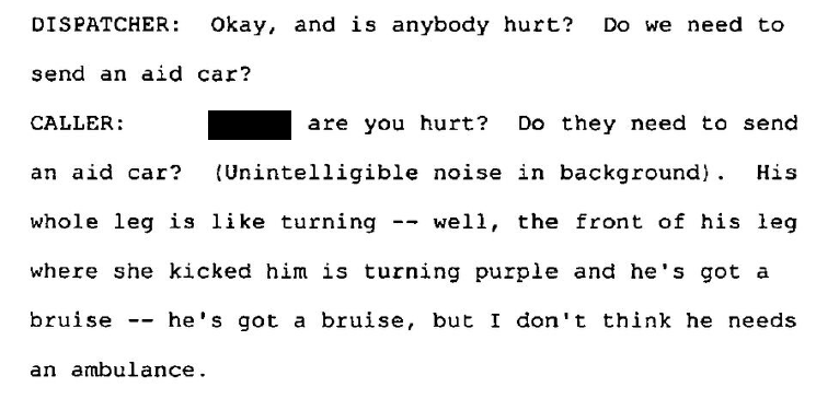 Continuation of the March 17, 2016 911 transcript in which the caller says her brother's leg is turning purple where he was kicked, with the brother's name redacted