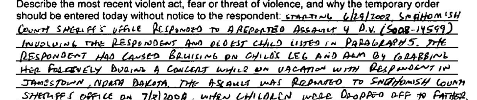 Excerpt from a protection order petition describing a June 2008 assault report in which Reinhart bruised her oldest child's leg and arm