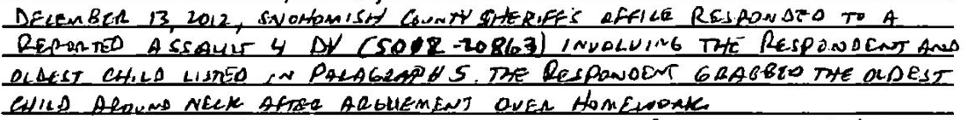 Excerpt from a protection order petition describing a December 2012 assault report in which Reinhart grabbed her oldest child around the neck