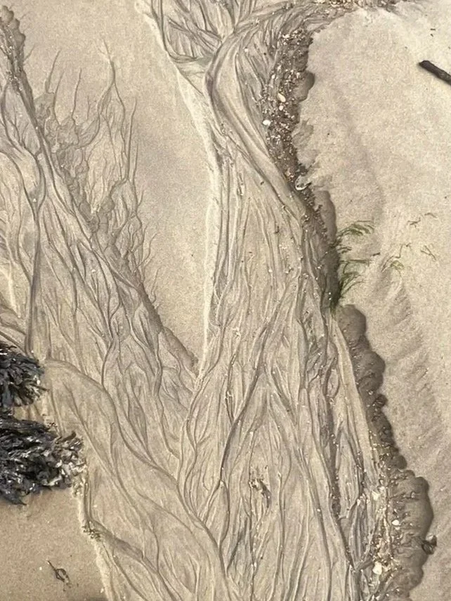 Close-up of seaweed imprints and textured sand on a beach