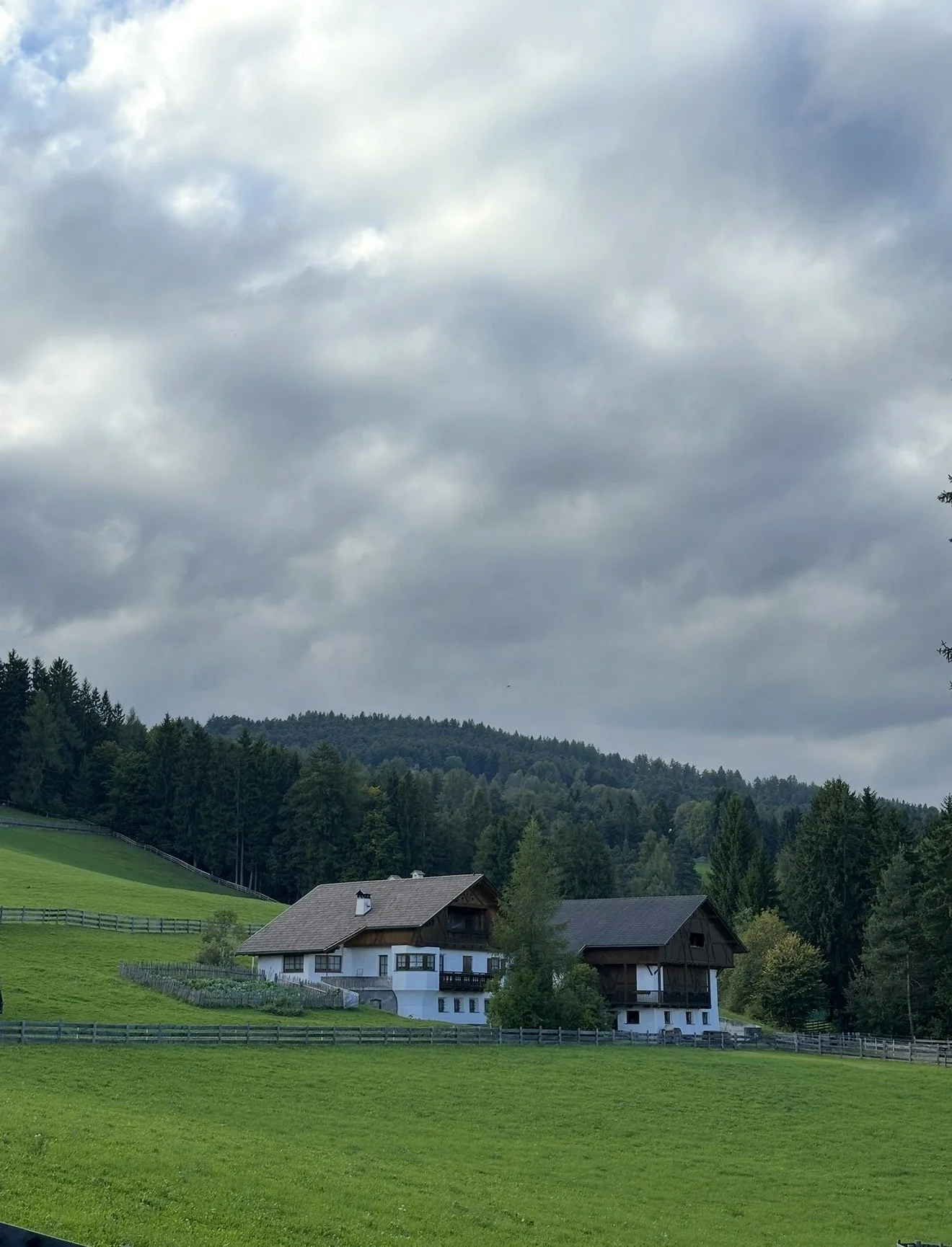 Traditional farmhouses, meadows and forest on the San Genesio plateau near Saltus